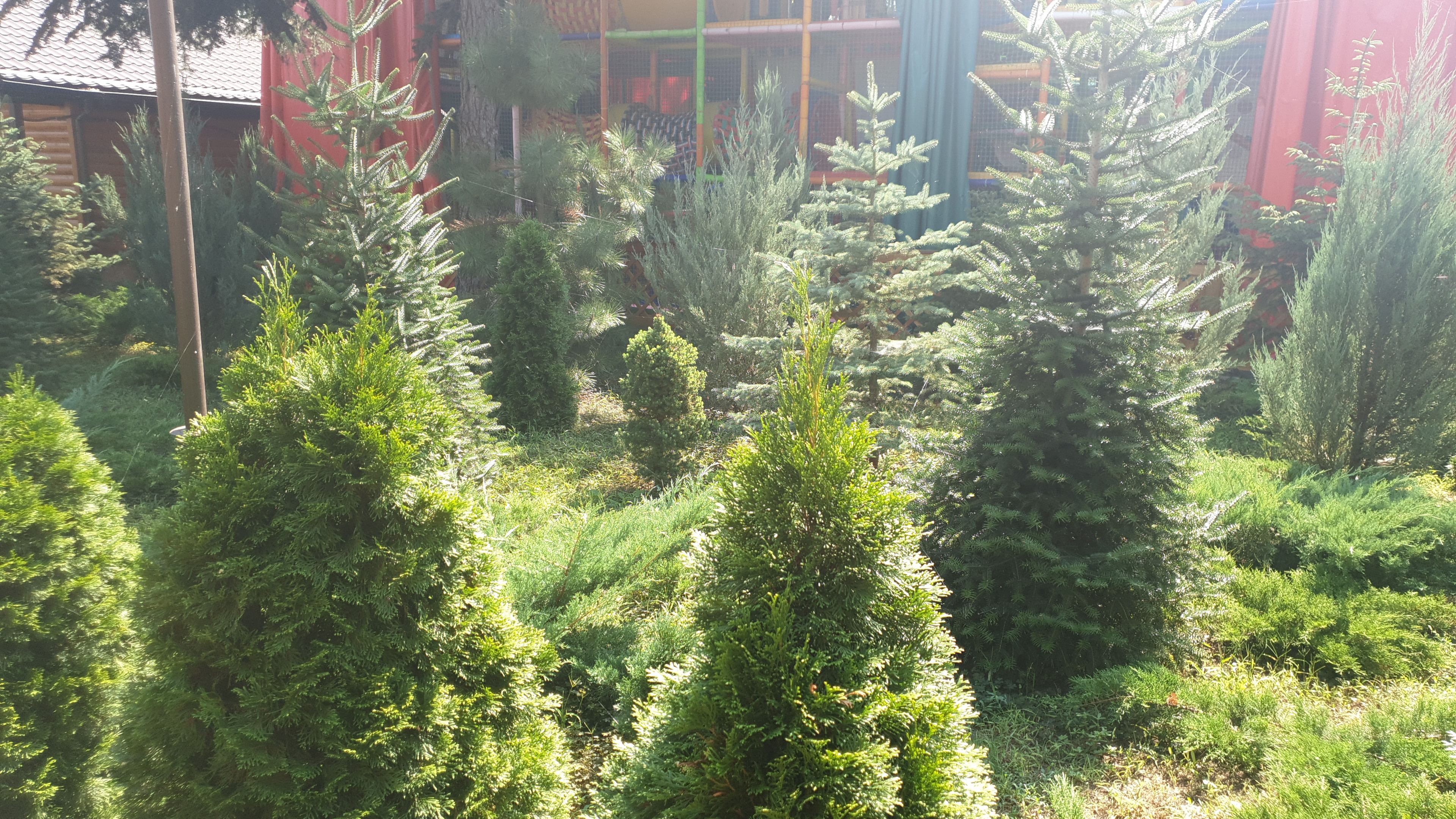 Фото Прибой