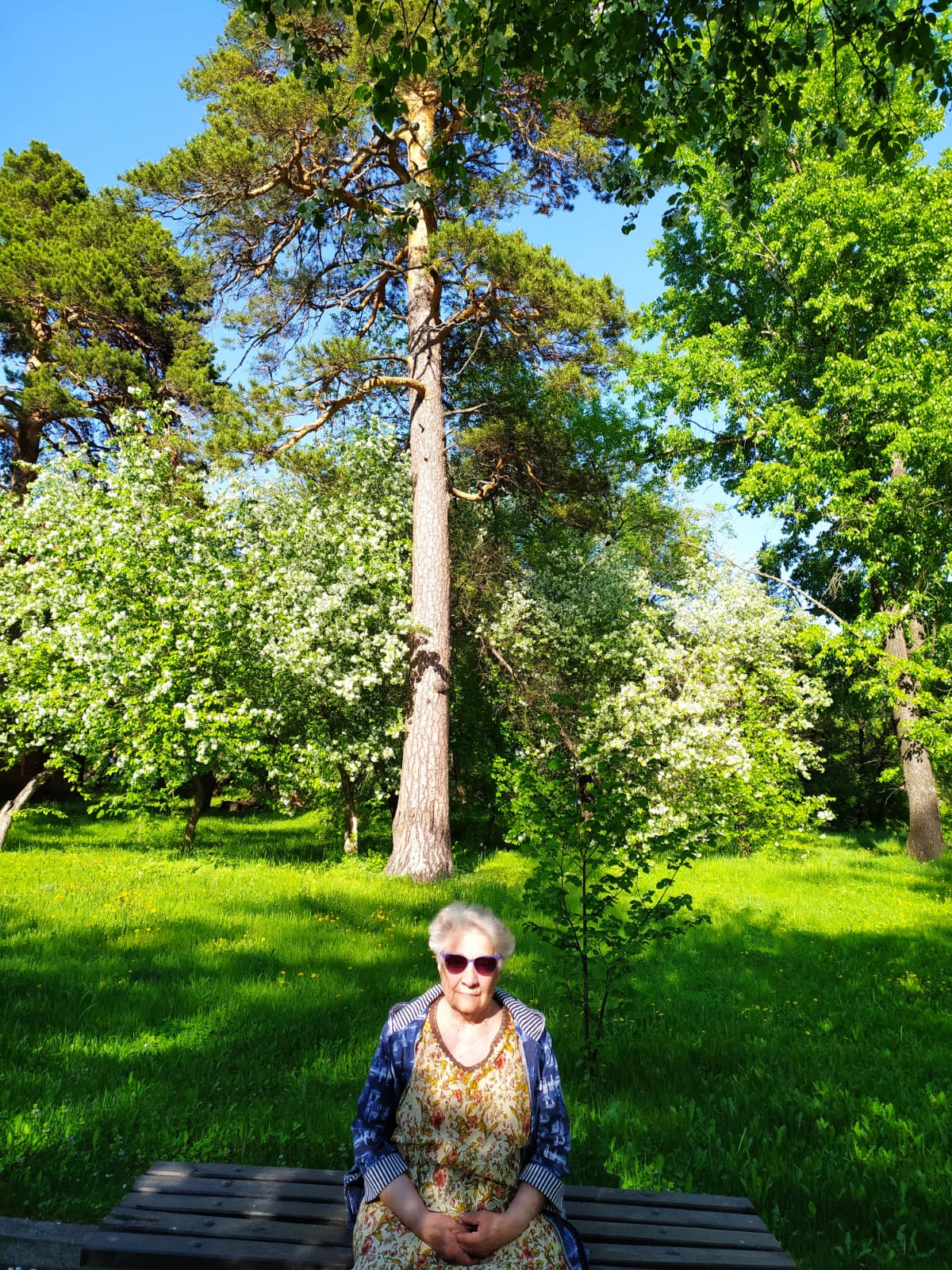 Фото Сосновый бор