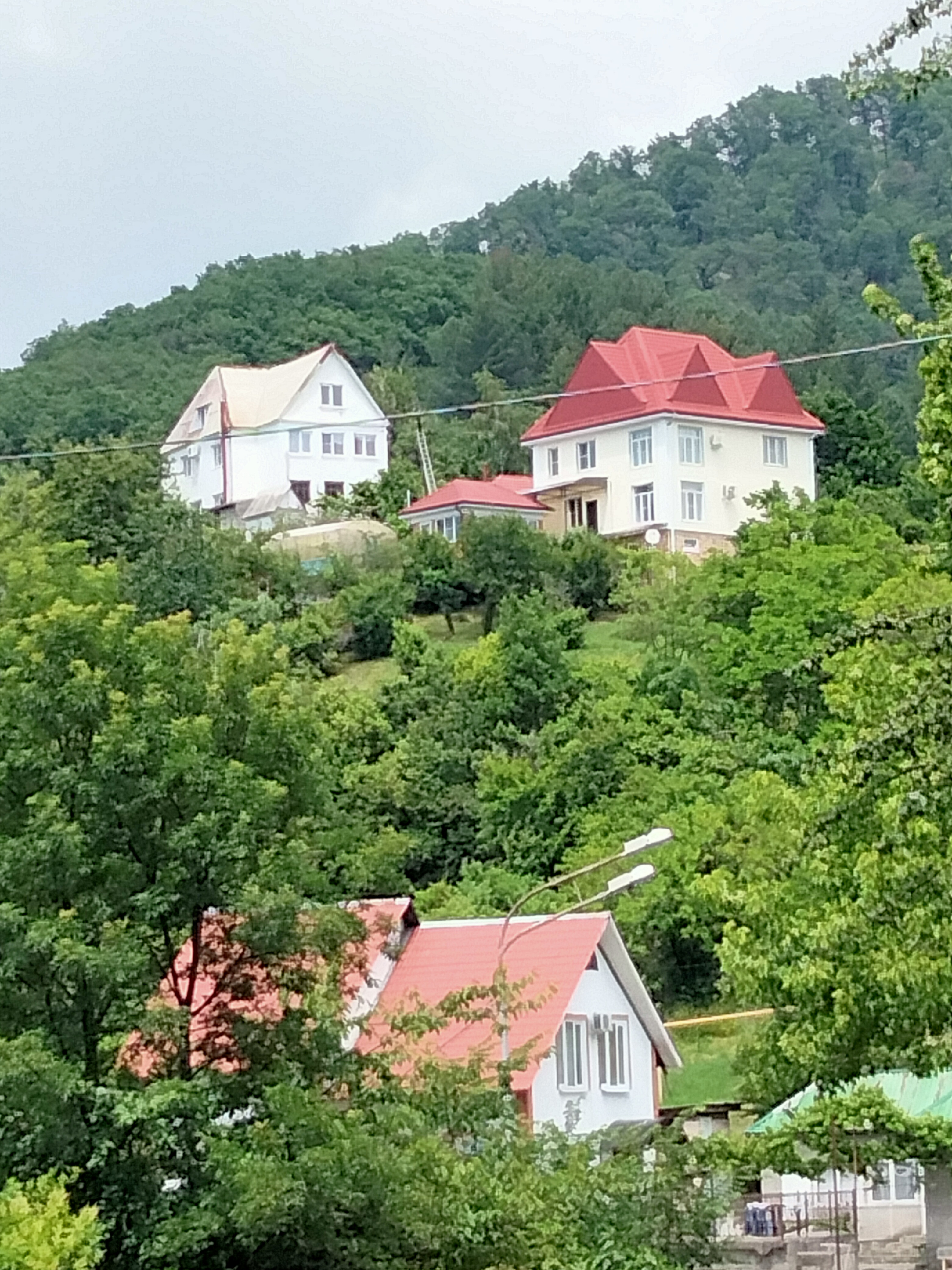 Фото Камбала