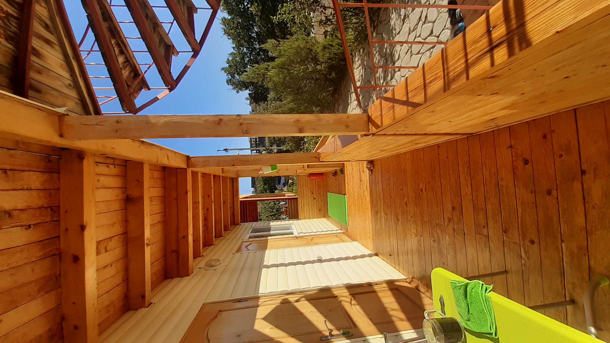 Фото Афалина