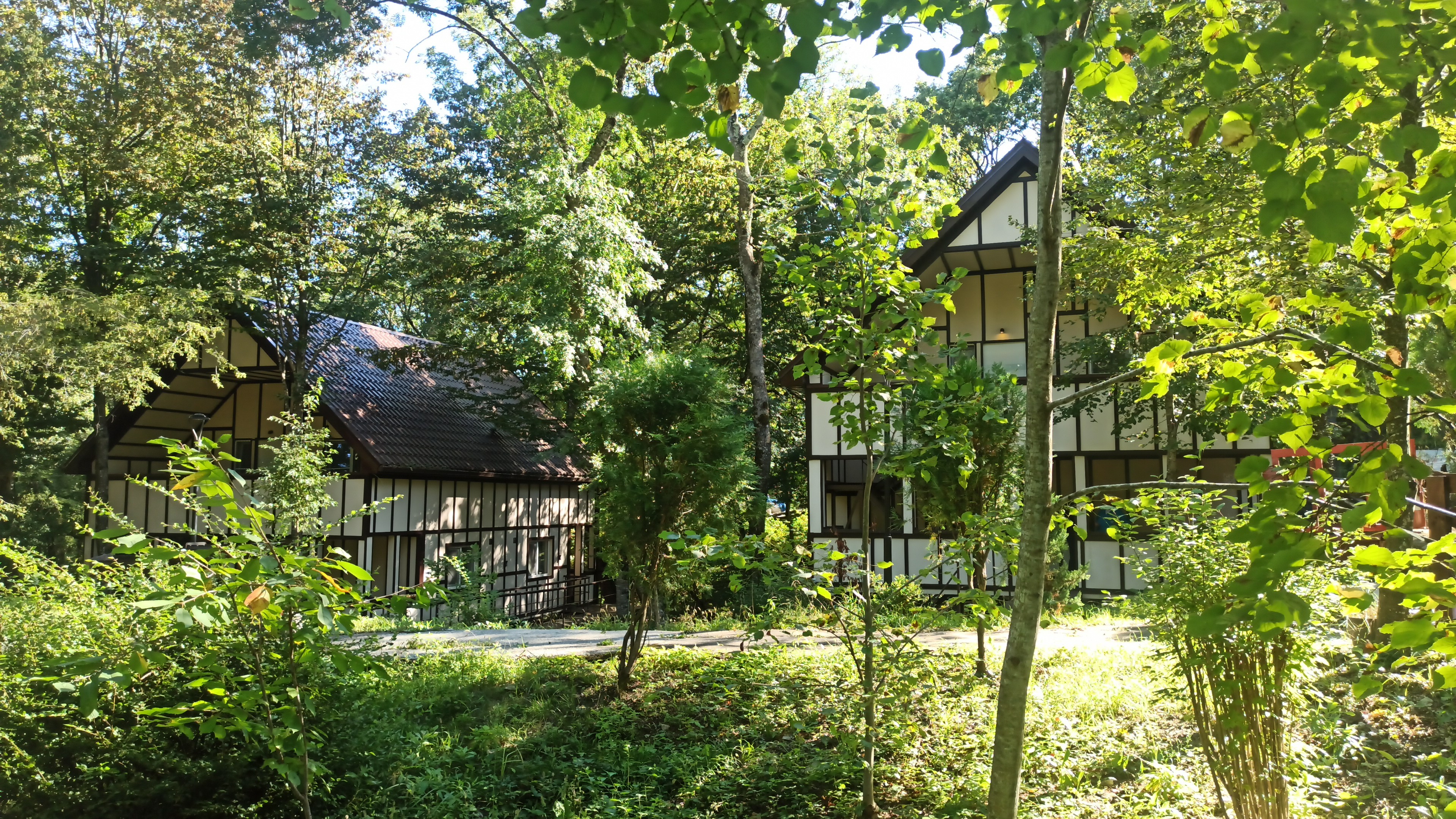 Фото Дельфин Холидей Парк Инал