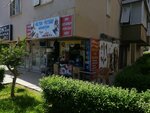 Breeze Petshop Akvaryum (Antalya, Muratpasa District, Tarik Akiltopu Avenue, 13), pet shop