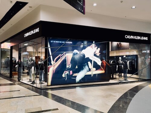 Calvin clearance klein adigeo