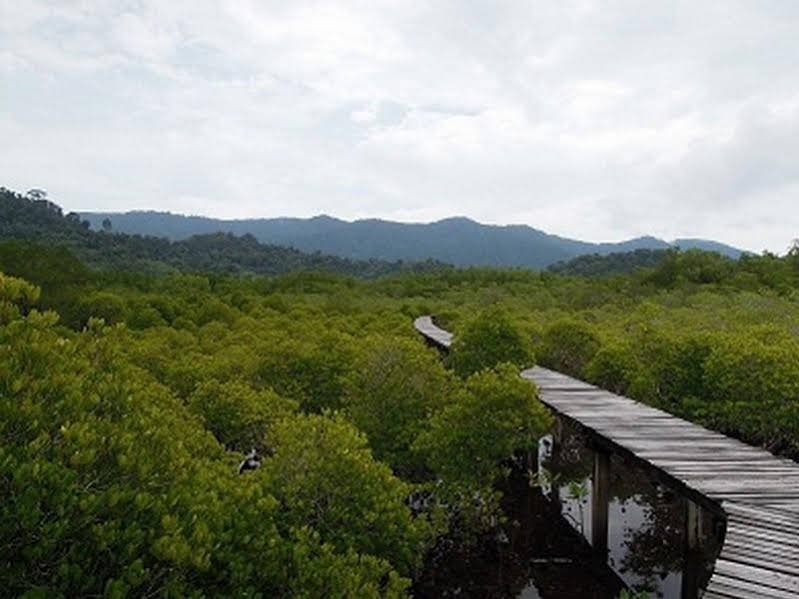 Фото The Mangrove Hideaway Koh Chang