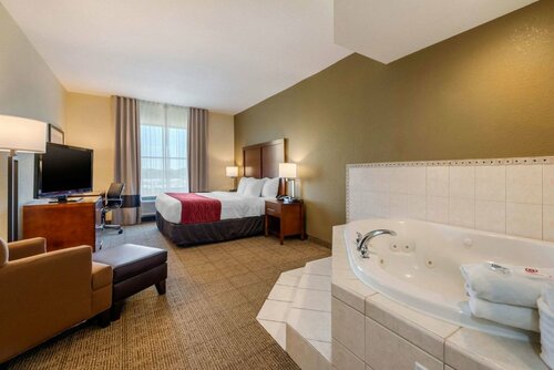 Гостиница Comfort Inn & Suites Clearwater - St Petersburg Carillon Park в Клируотере