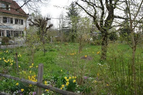 Фото Hotel Hessengüetli