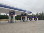 Нефтика (Pskov Region, munitsipalnoye obrazovaniye Sebezh), gas station