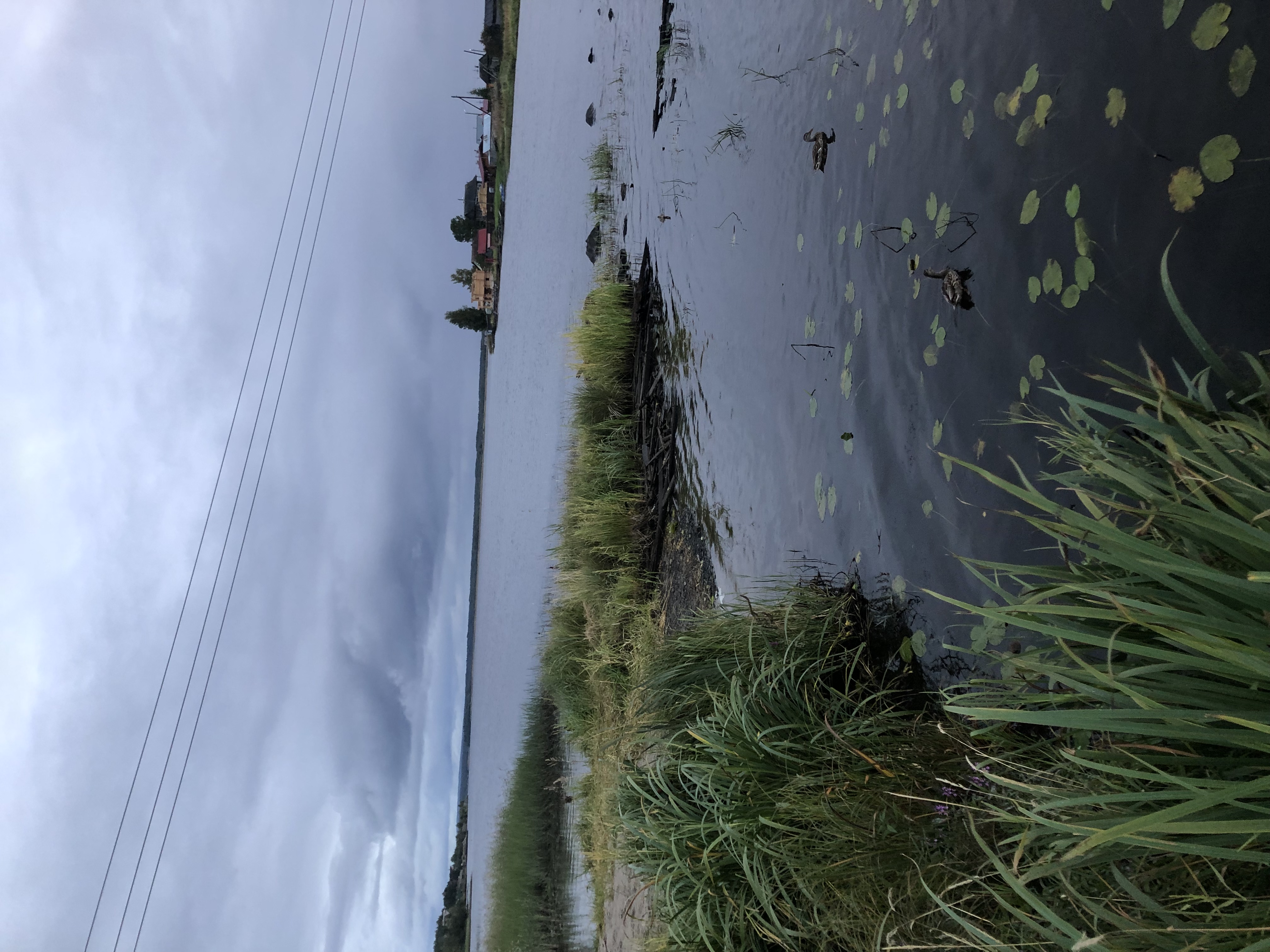 Фото У плотника