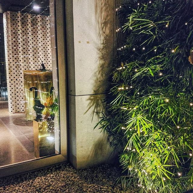 Фото The Grove Design Hotel