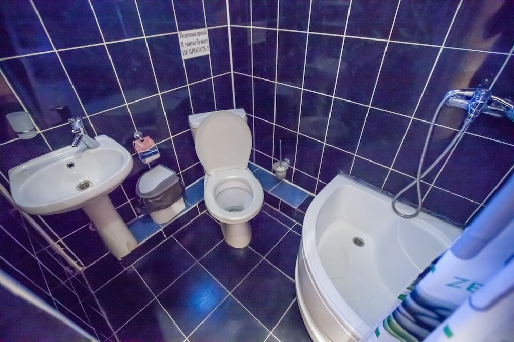 Фото Малина