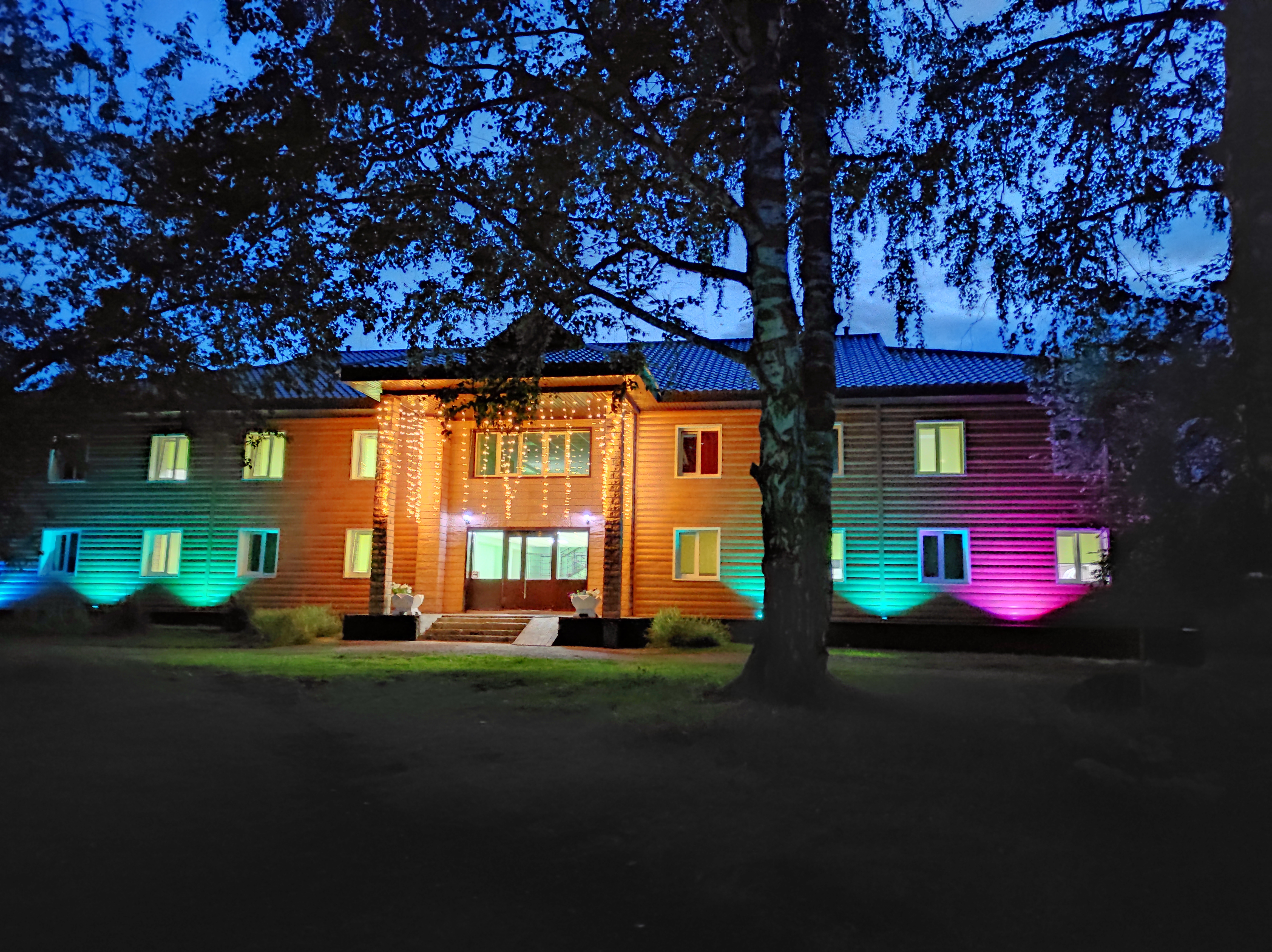 Фото Берёзка