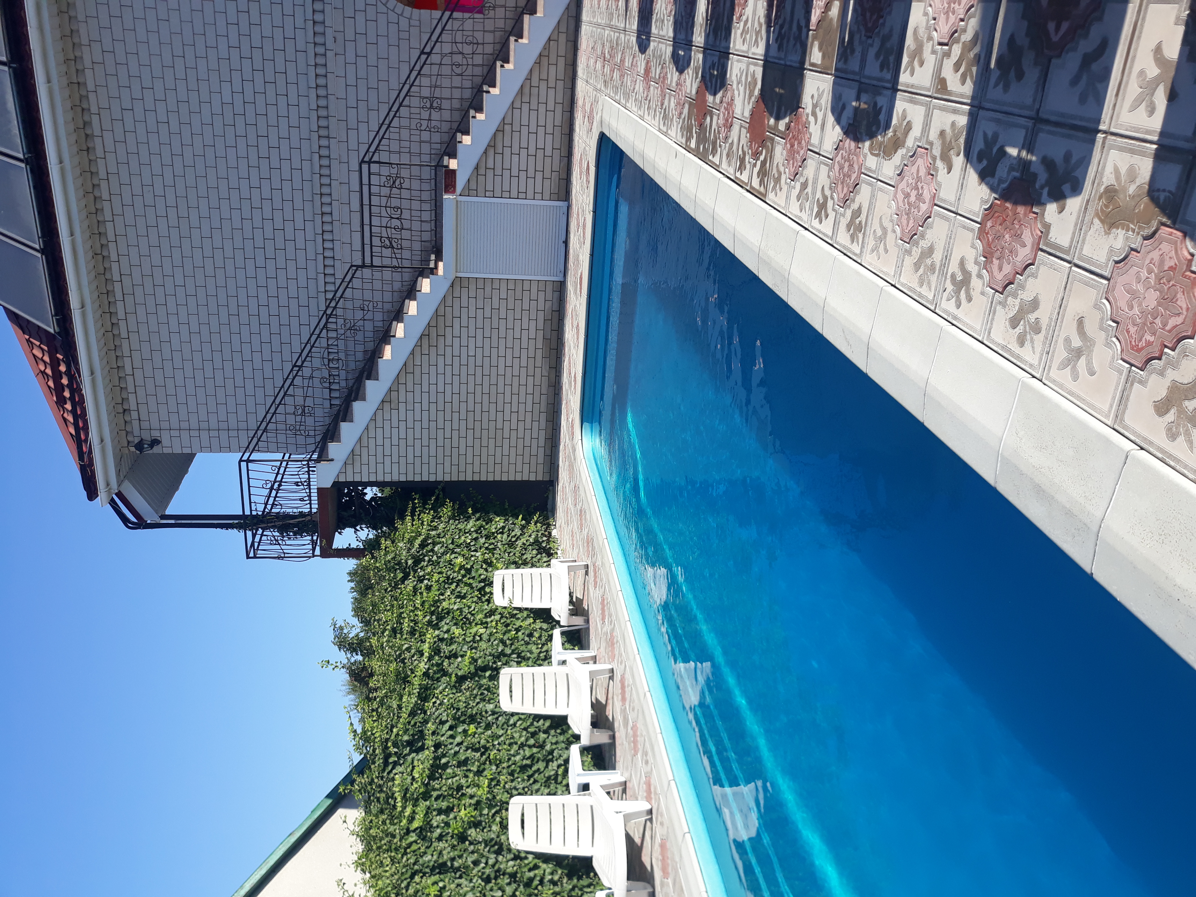 Фото Магнолия