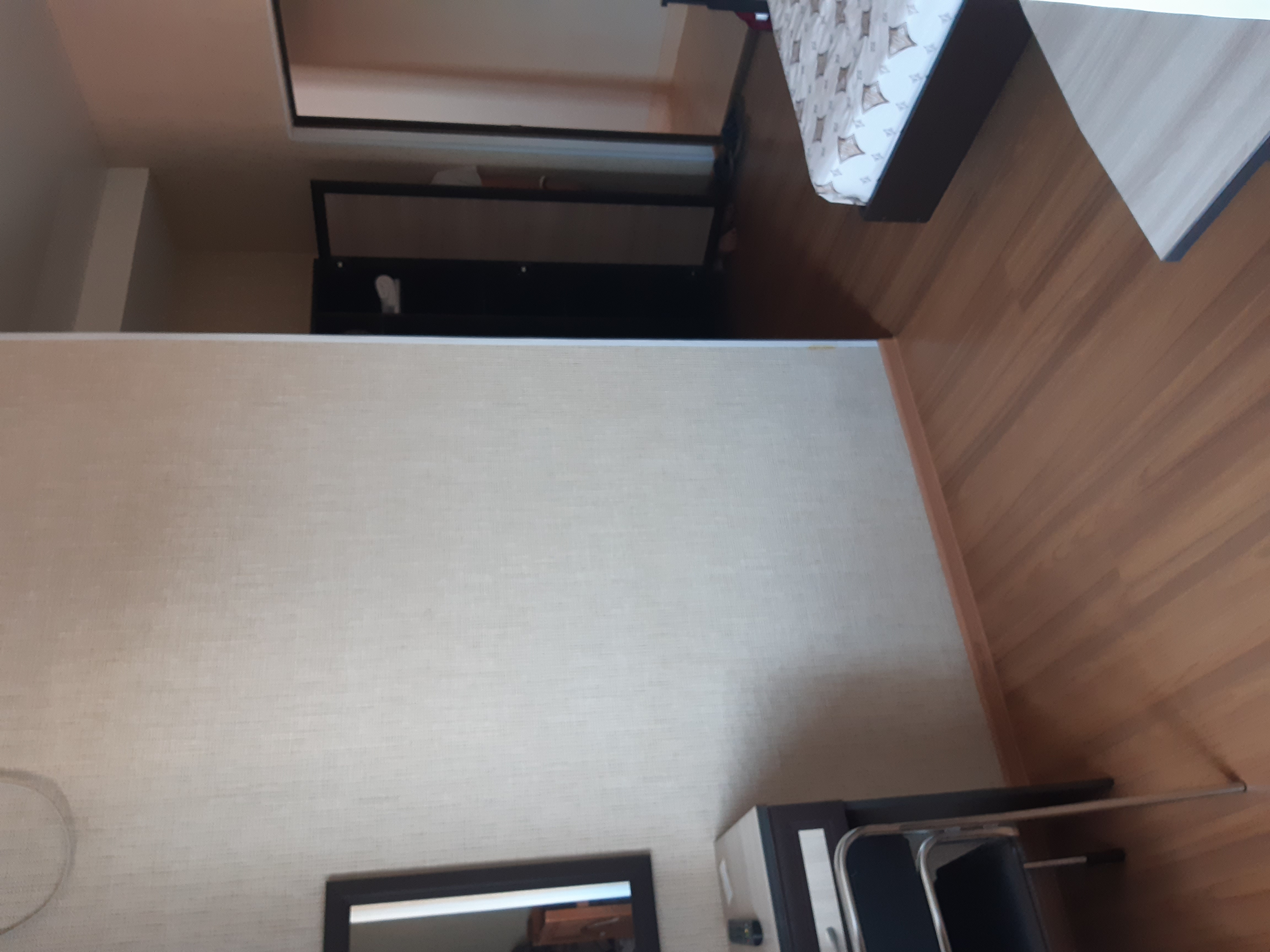 Фото Кипарис