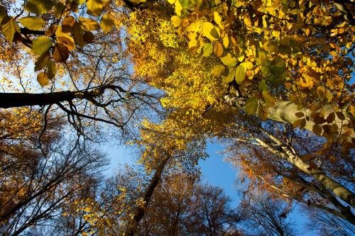 Фото B&b Lievejan