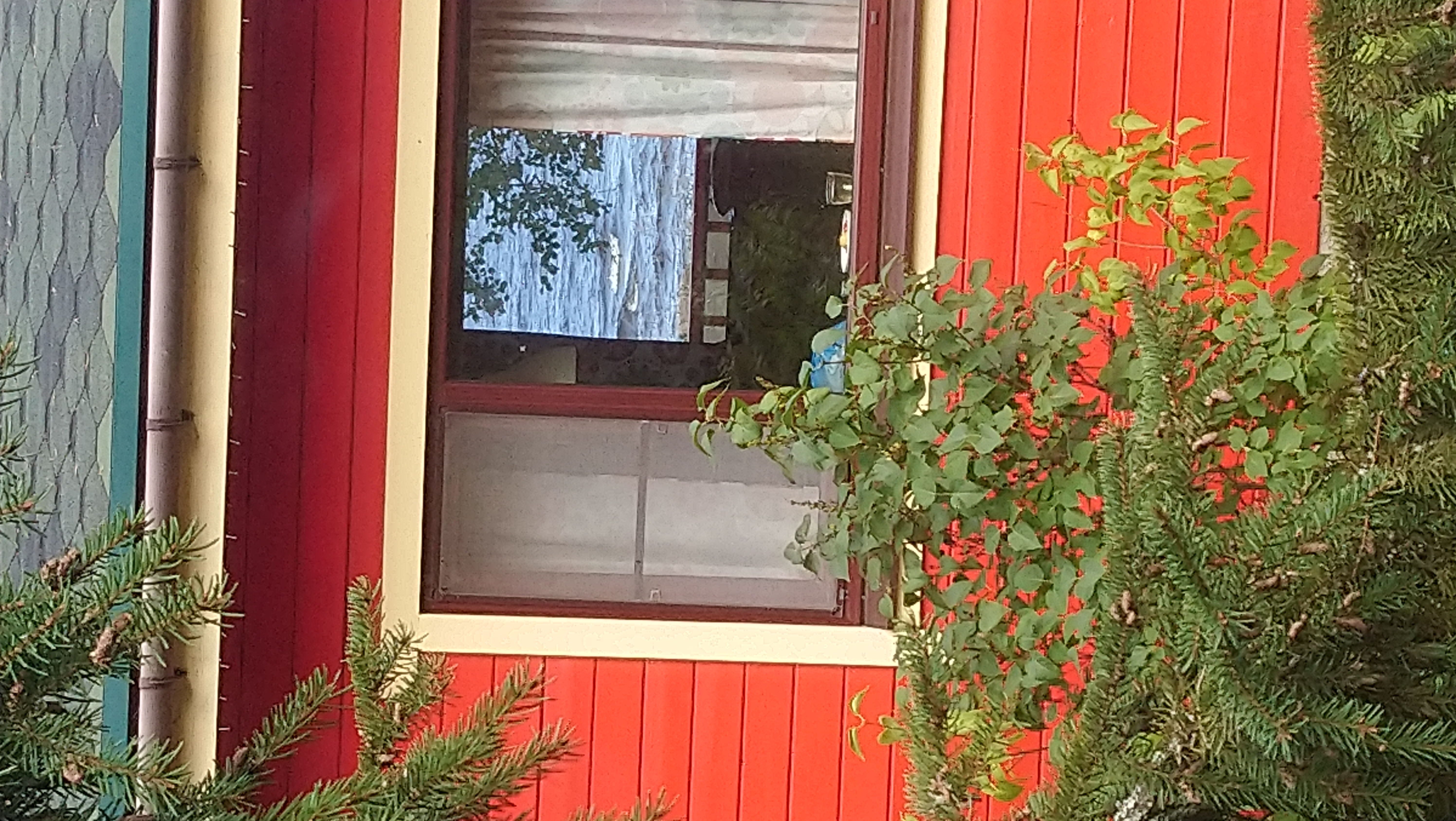 Фото Самая Ладога