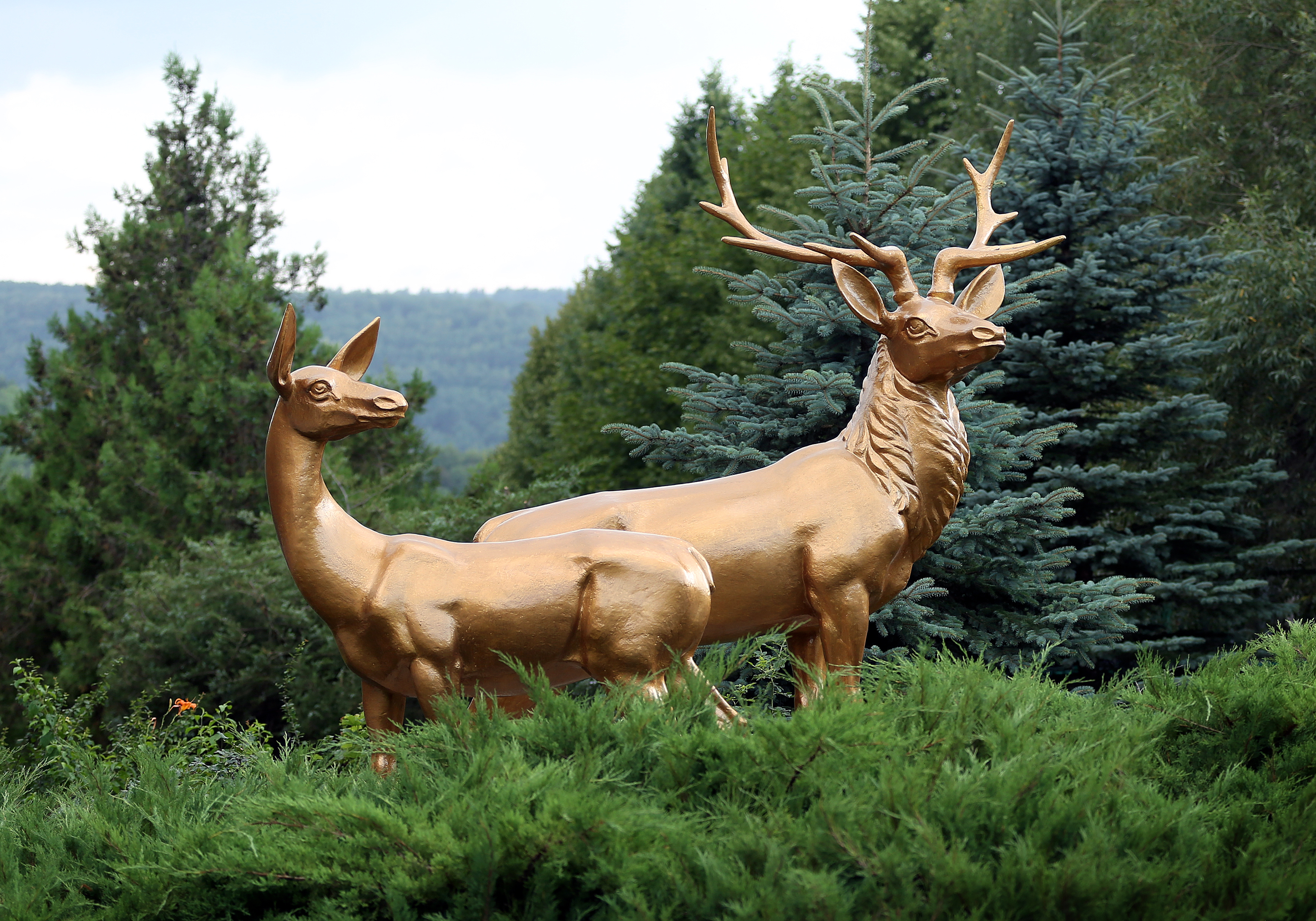 Фото Вилла Арнест