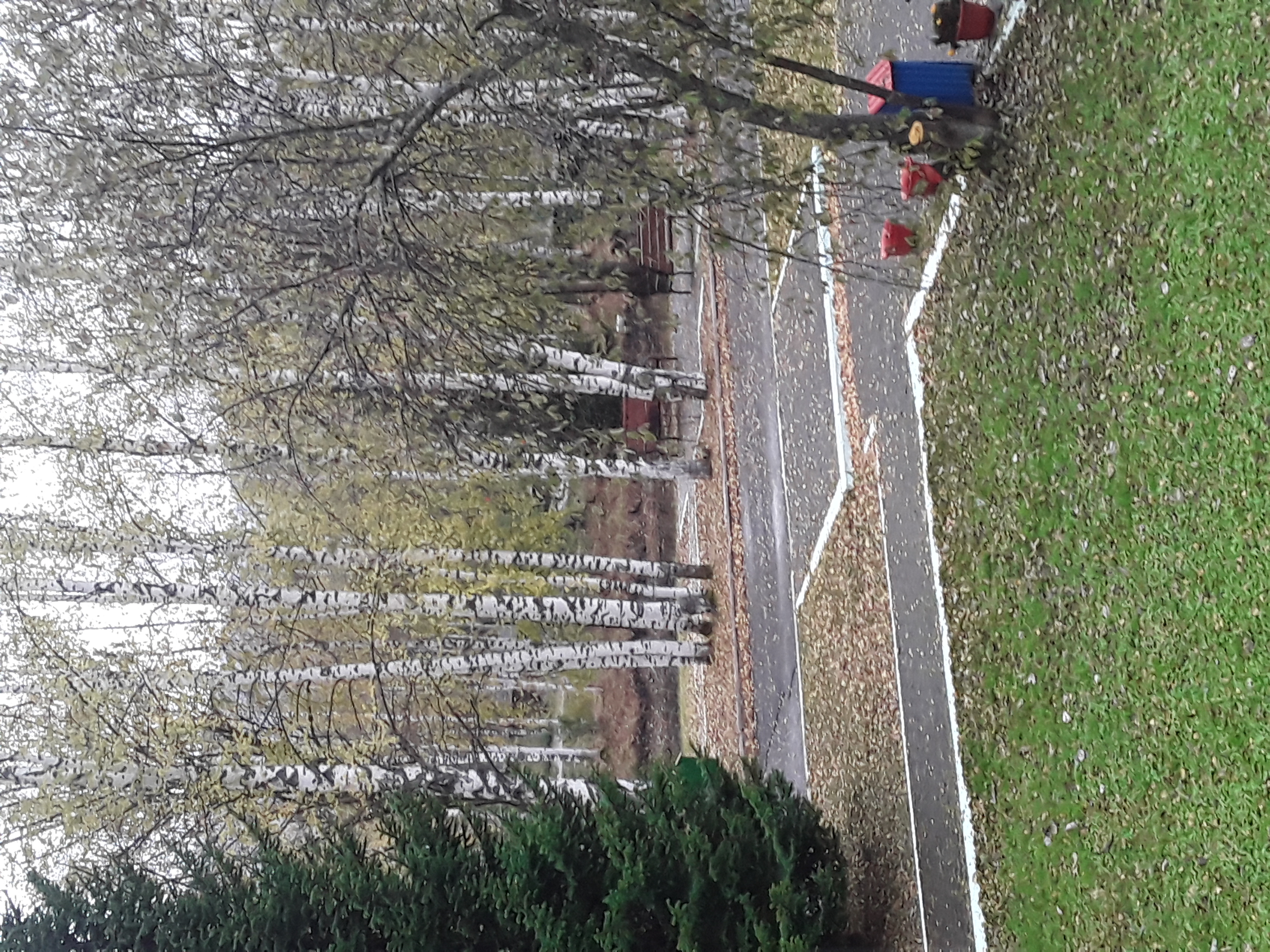 Фото Фантазия