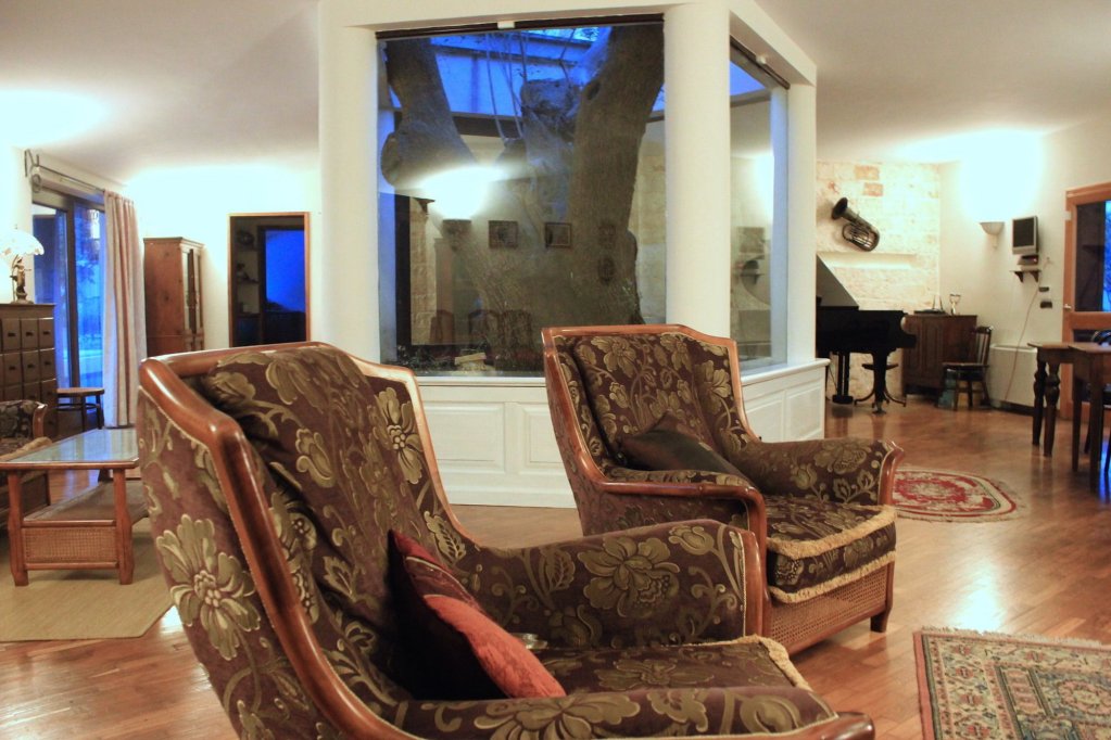 Фото B&b Antico Ulivo