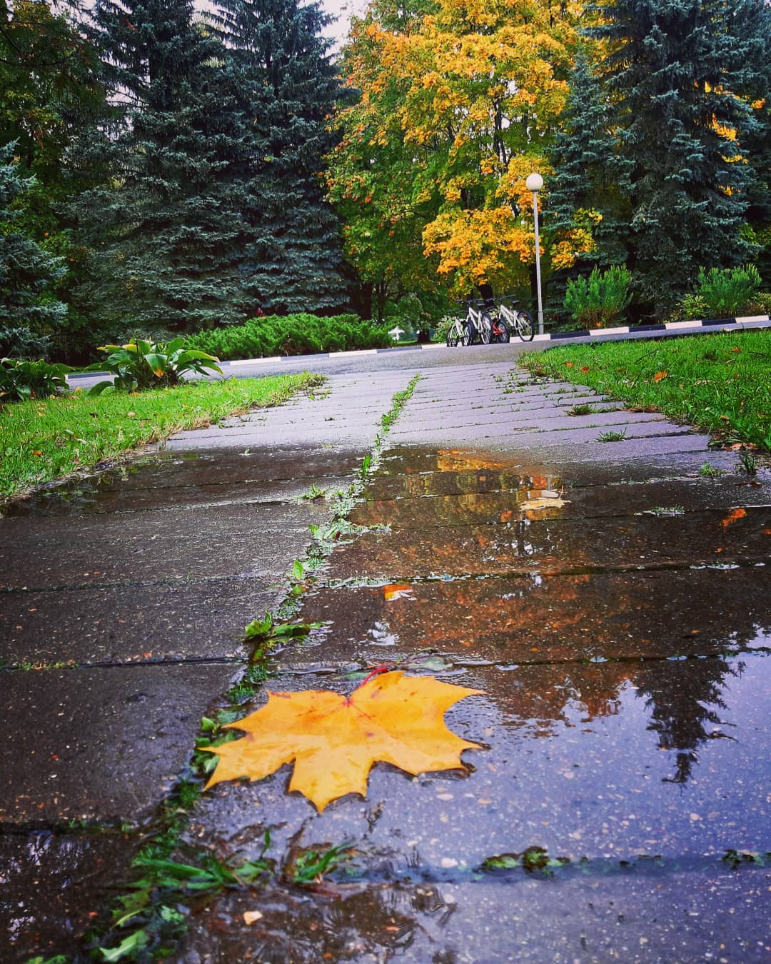 Фото Нагорное