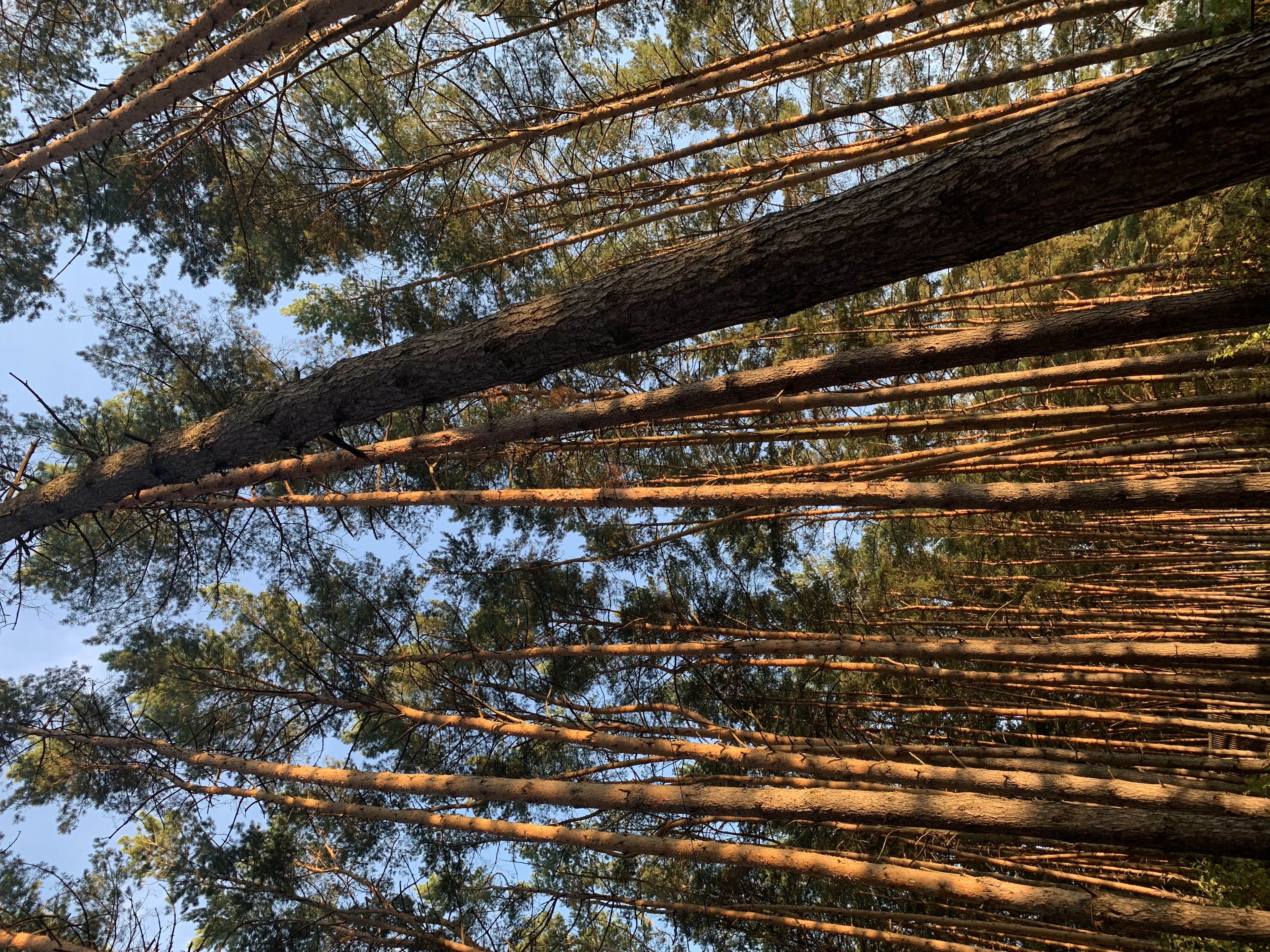 Фото Парк-отель Шахтёр