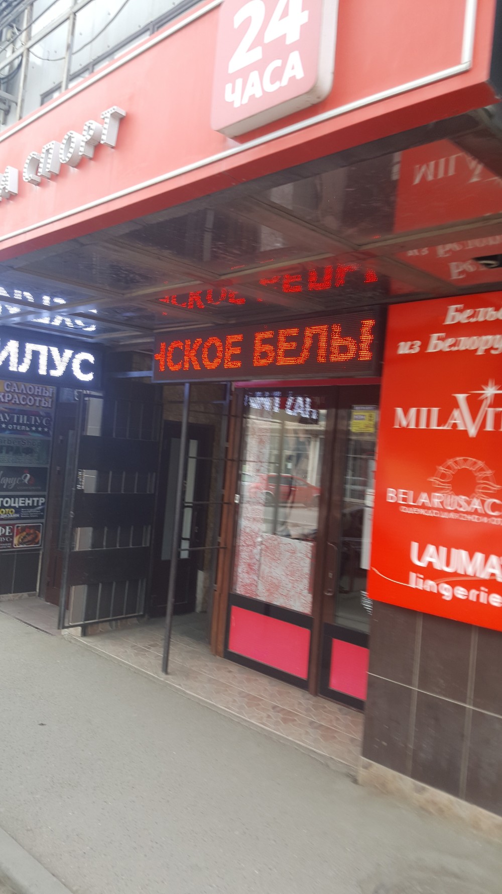 Фото Наутилус