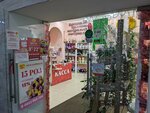 Цветторг (Большая Октябрьская ул., 28), магазин цветов в Ярославле