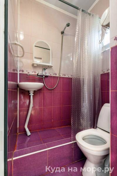 Фото Виолетта