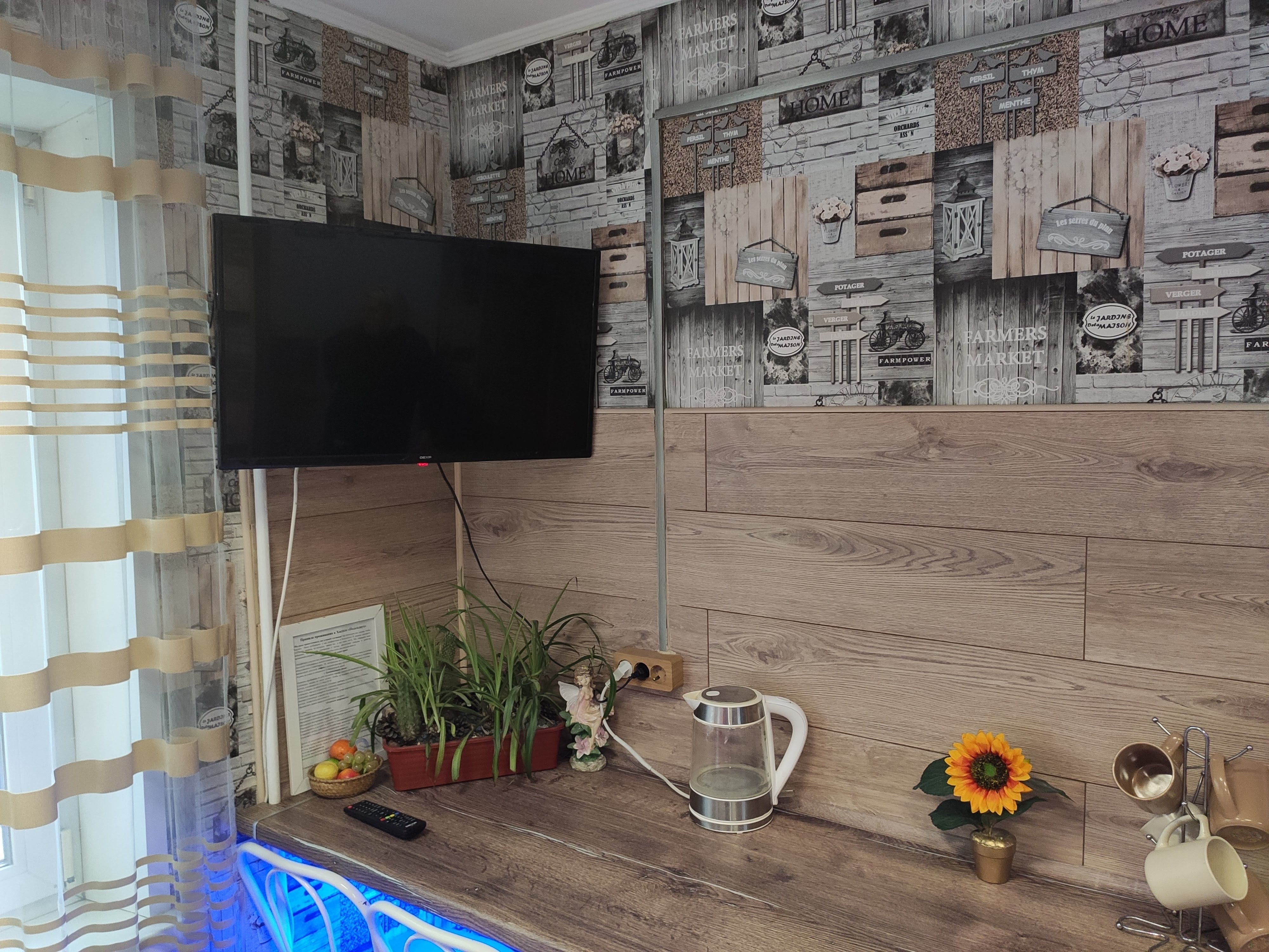 Фото Подсолнух