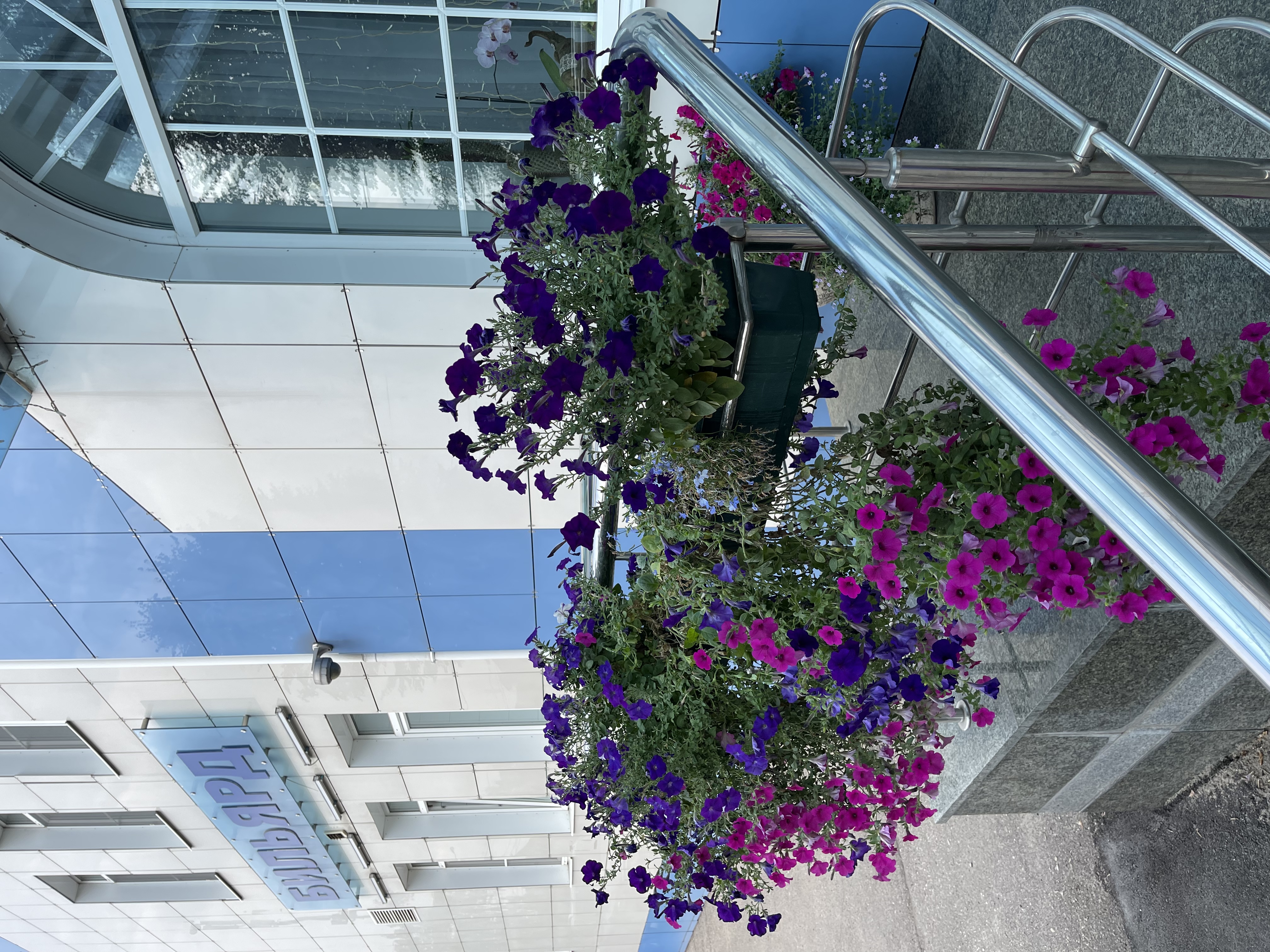 Фото Велнесс