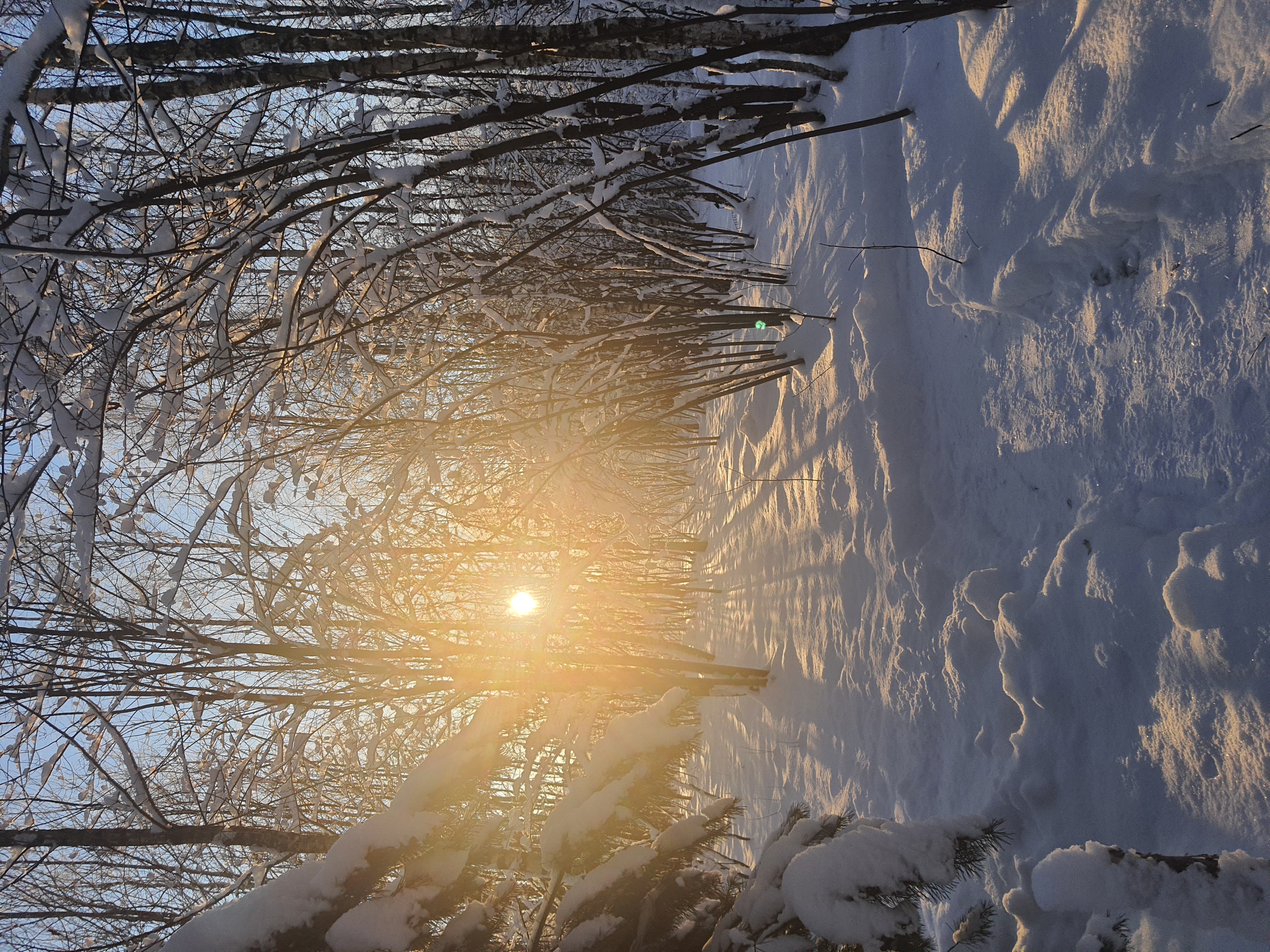 Фото Эко-горный