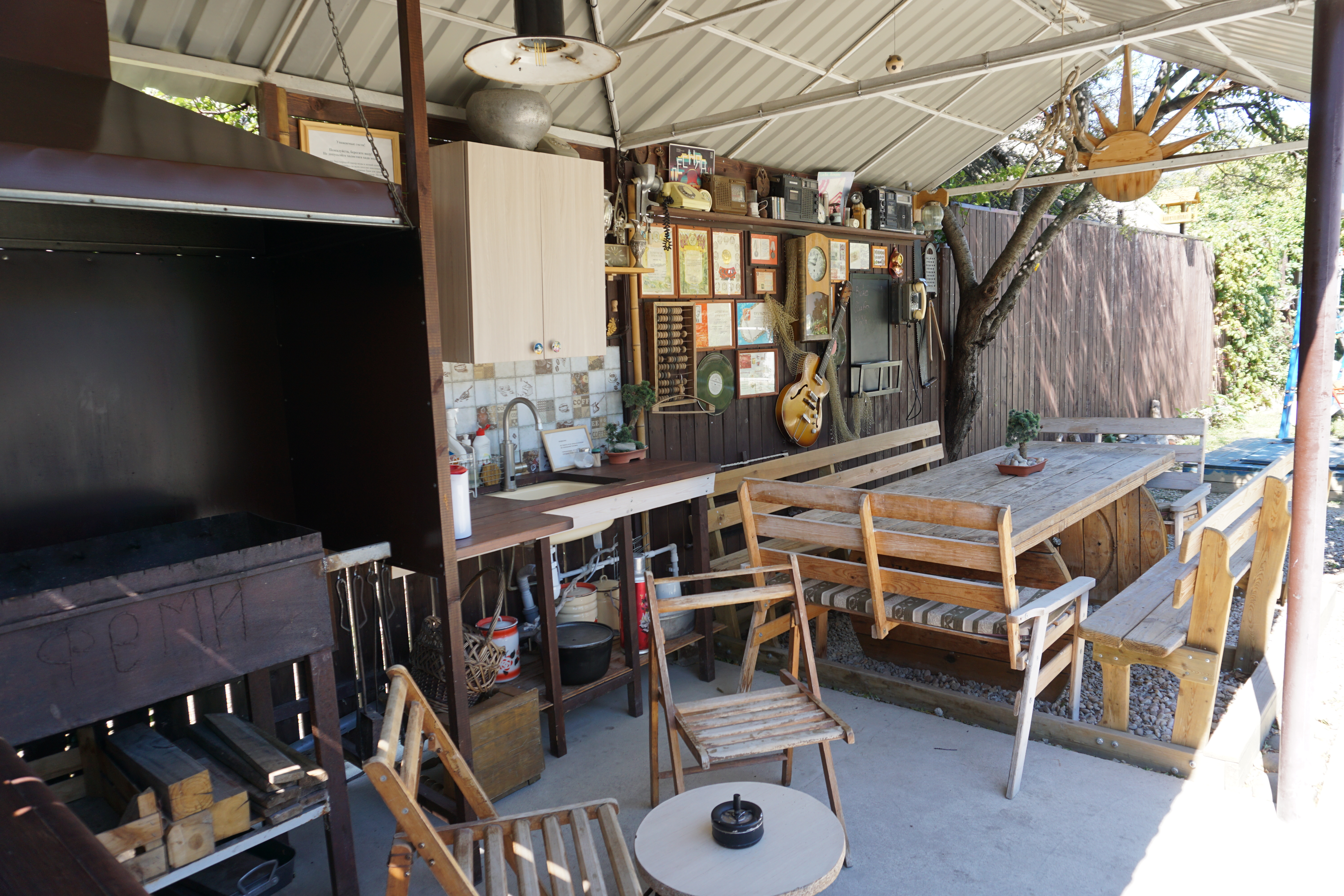 Фото Кофейное дерево