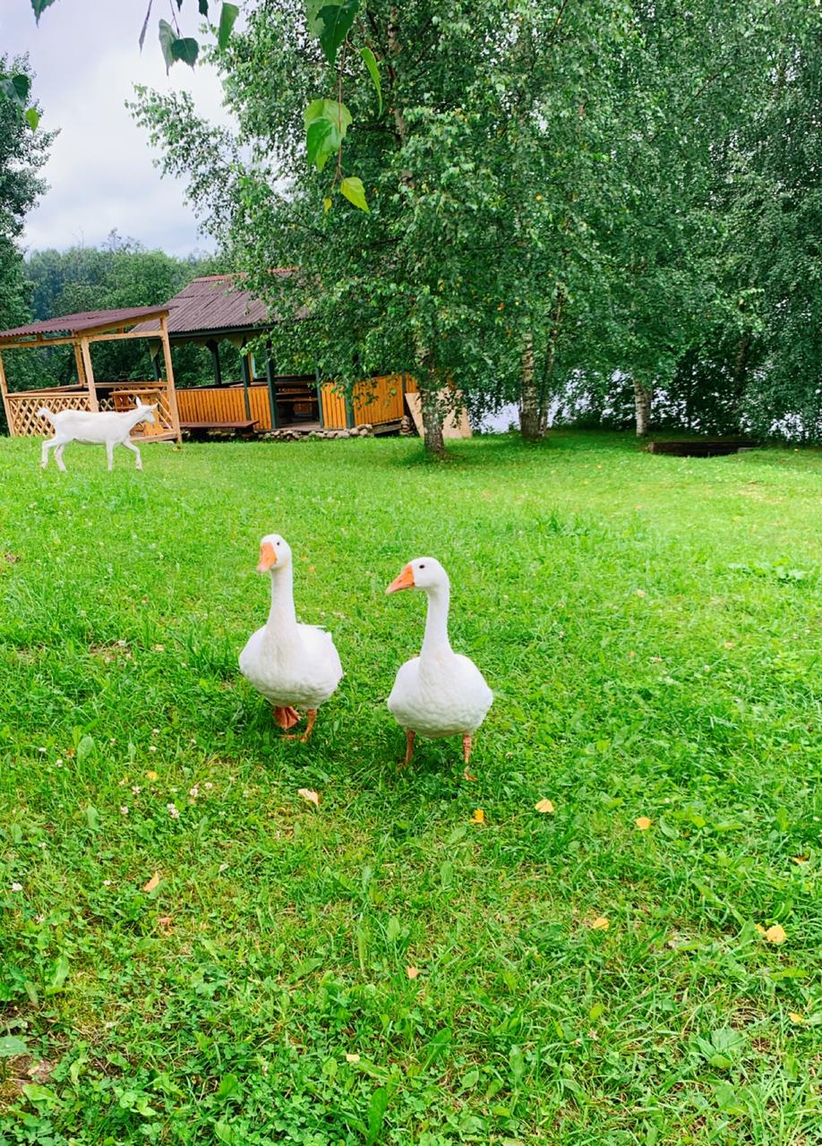 Фото Дома для отдыха Ватцы