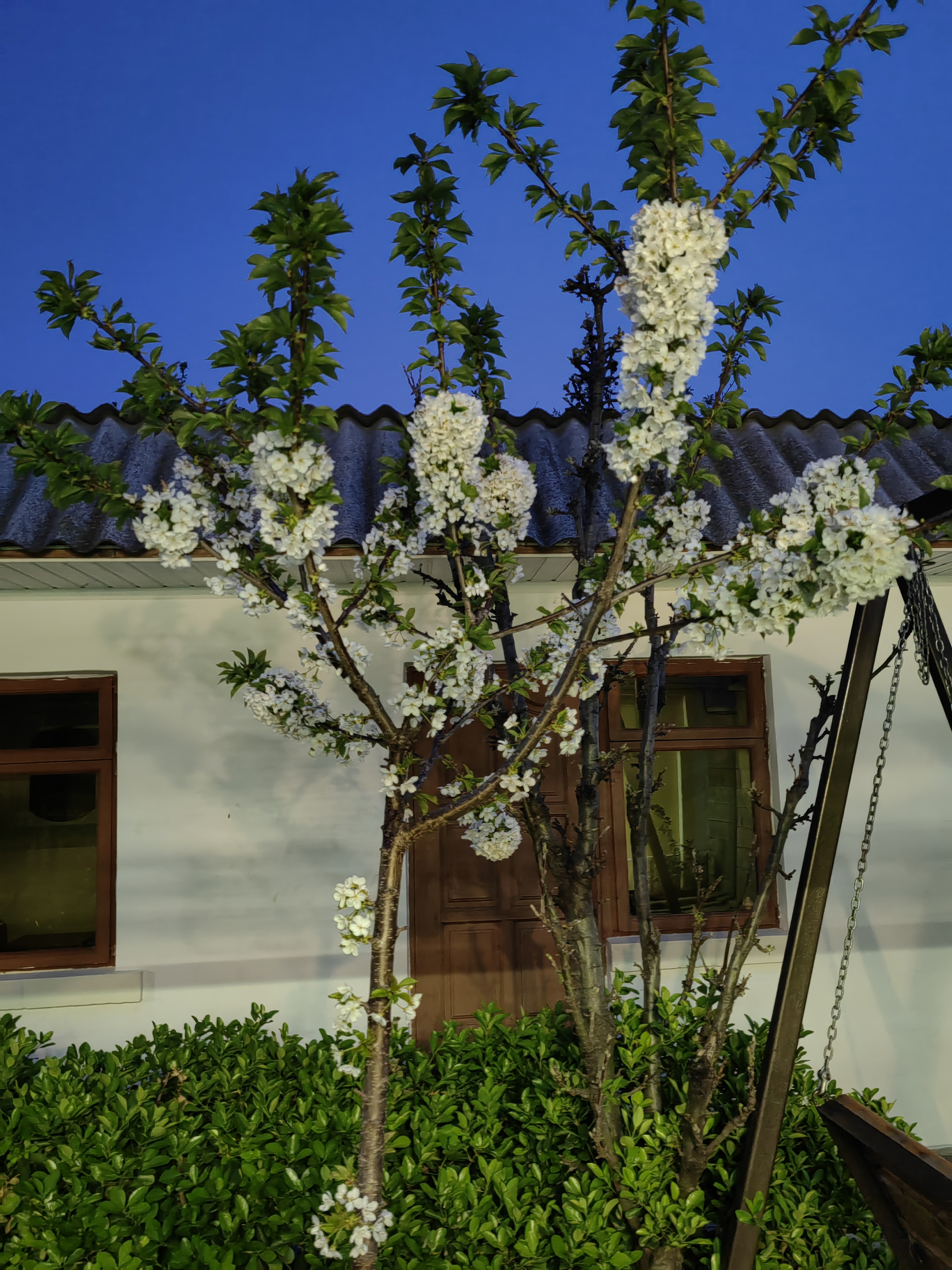 Фото У Чижика