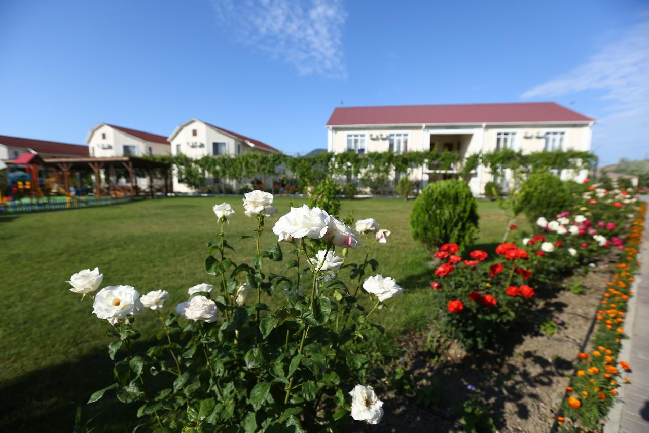 Фото Нарлен