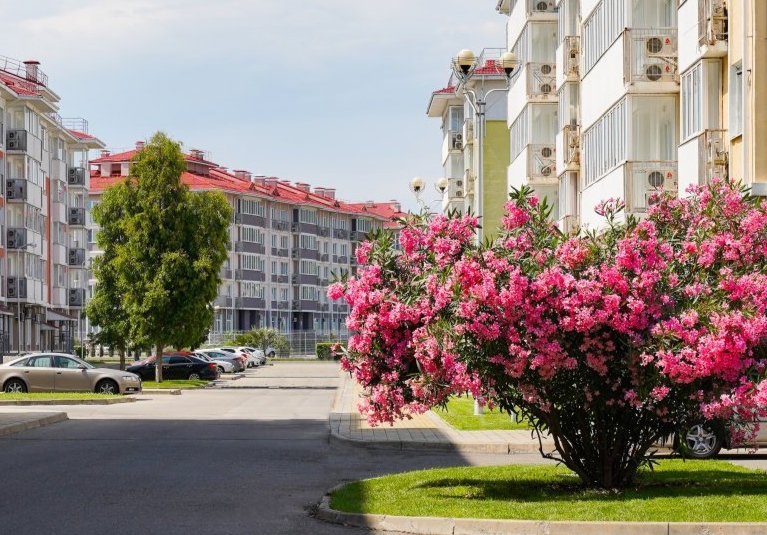 Фото Семейный Квартал