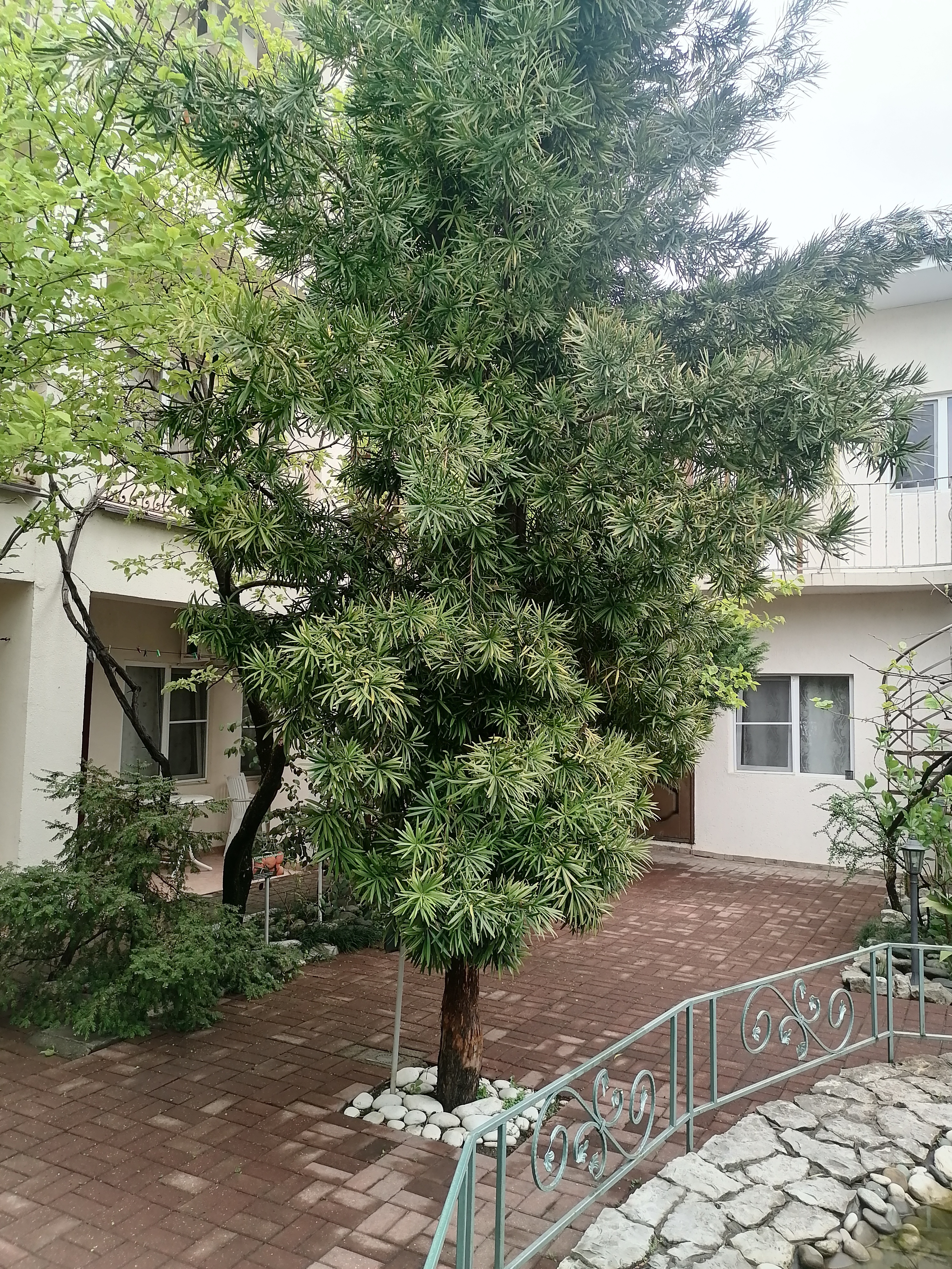 Фото Мини-гостиница Marco Club