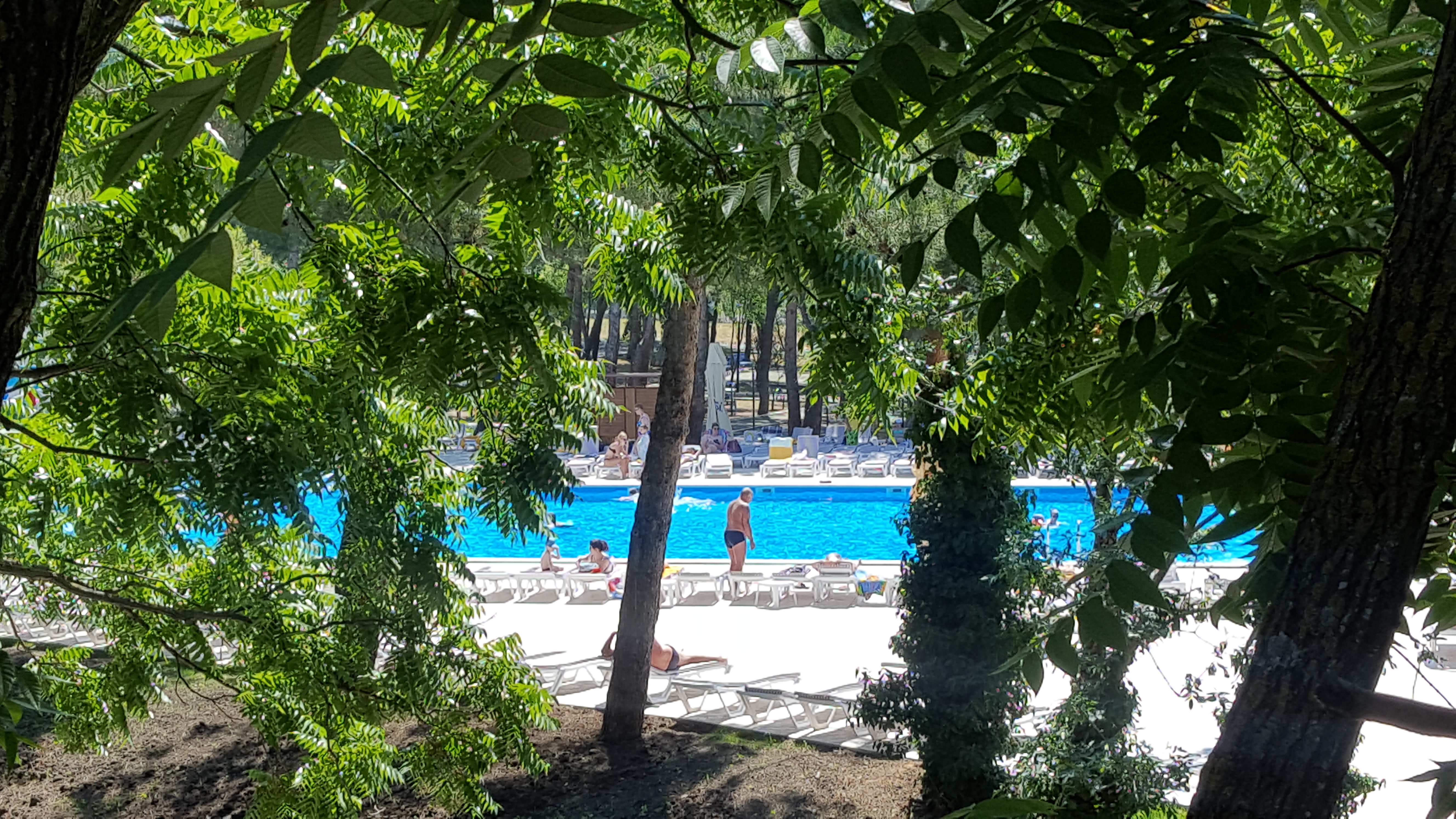 Фото Полина