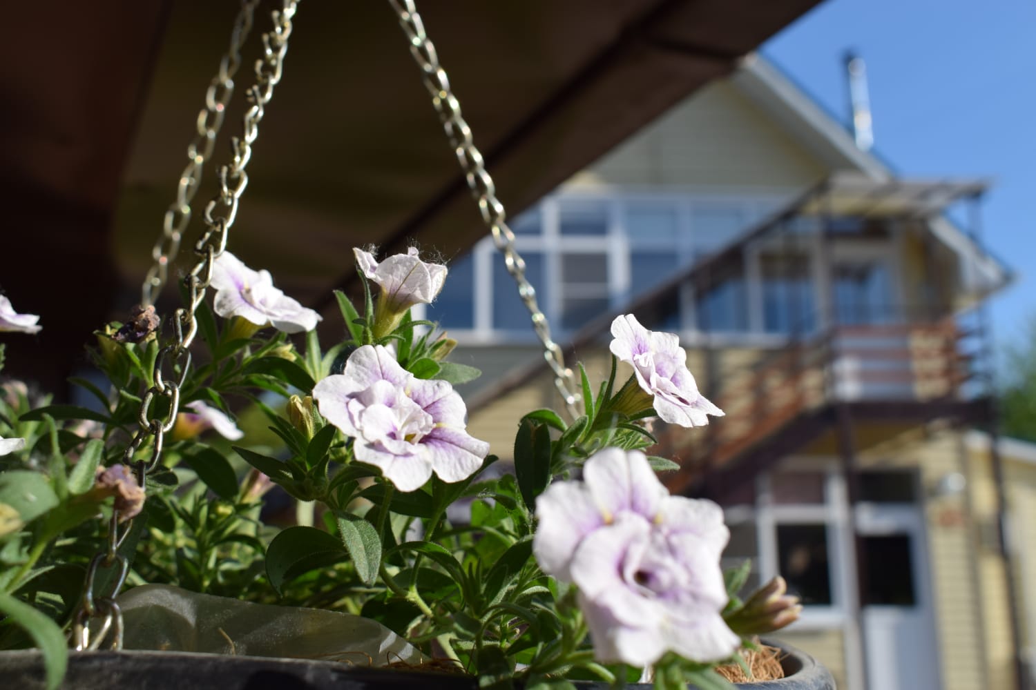 Фото Морозовъ