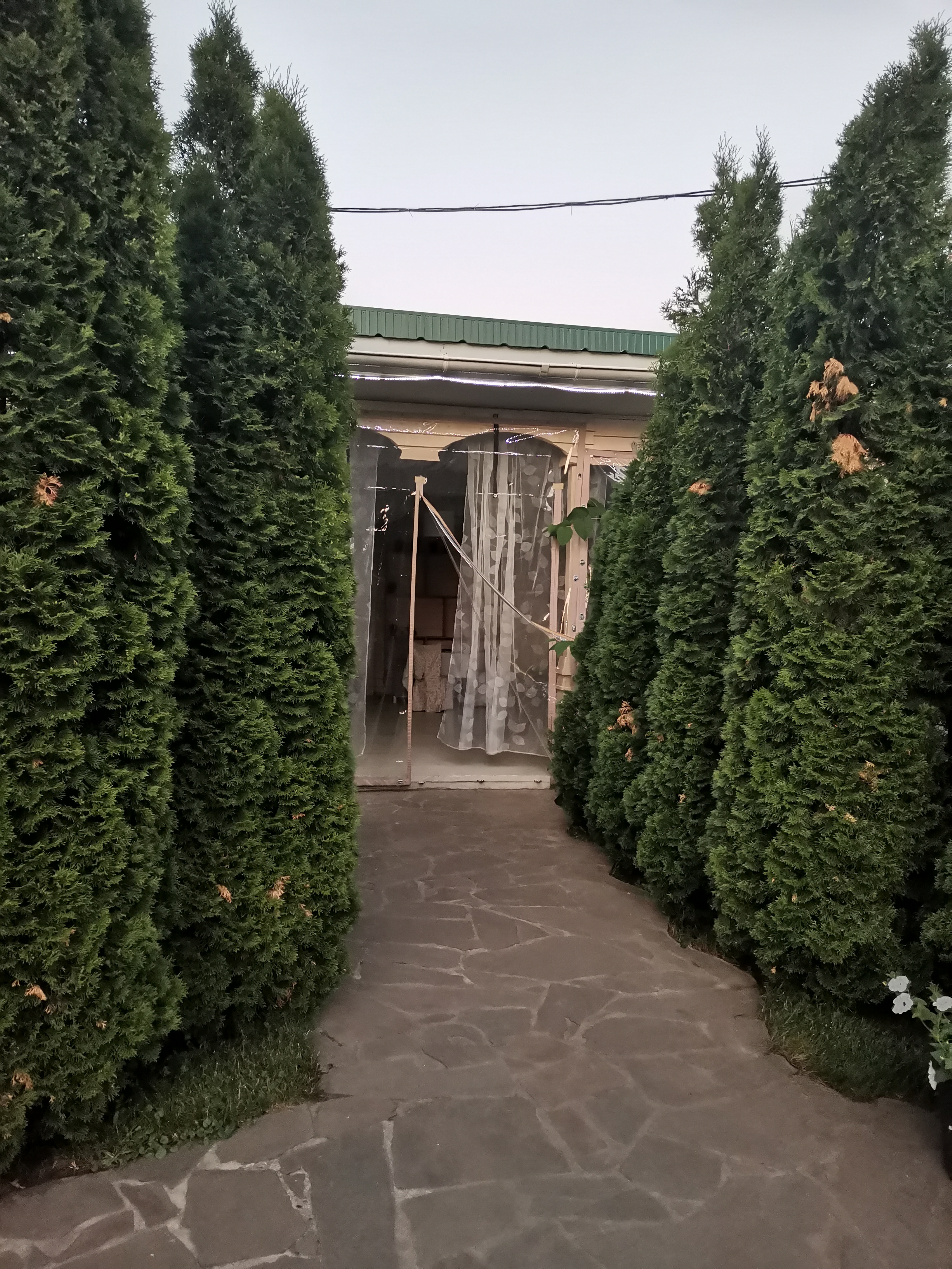 Фото Гостиница Алпатьево