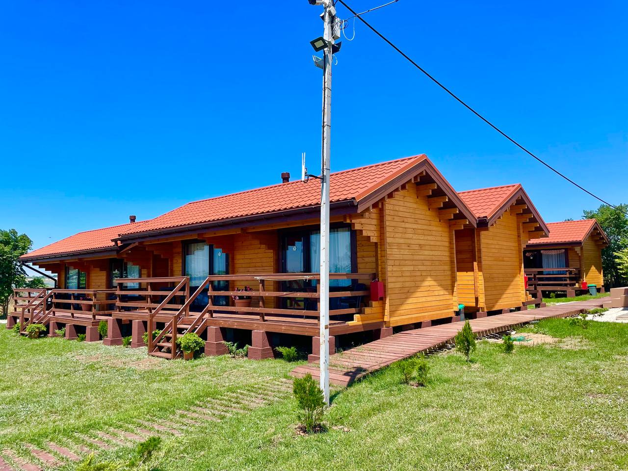 Фото Кактус