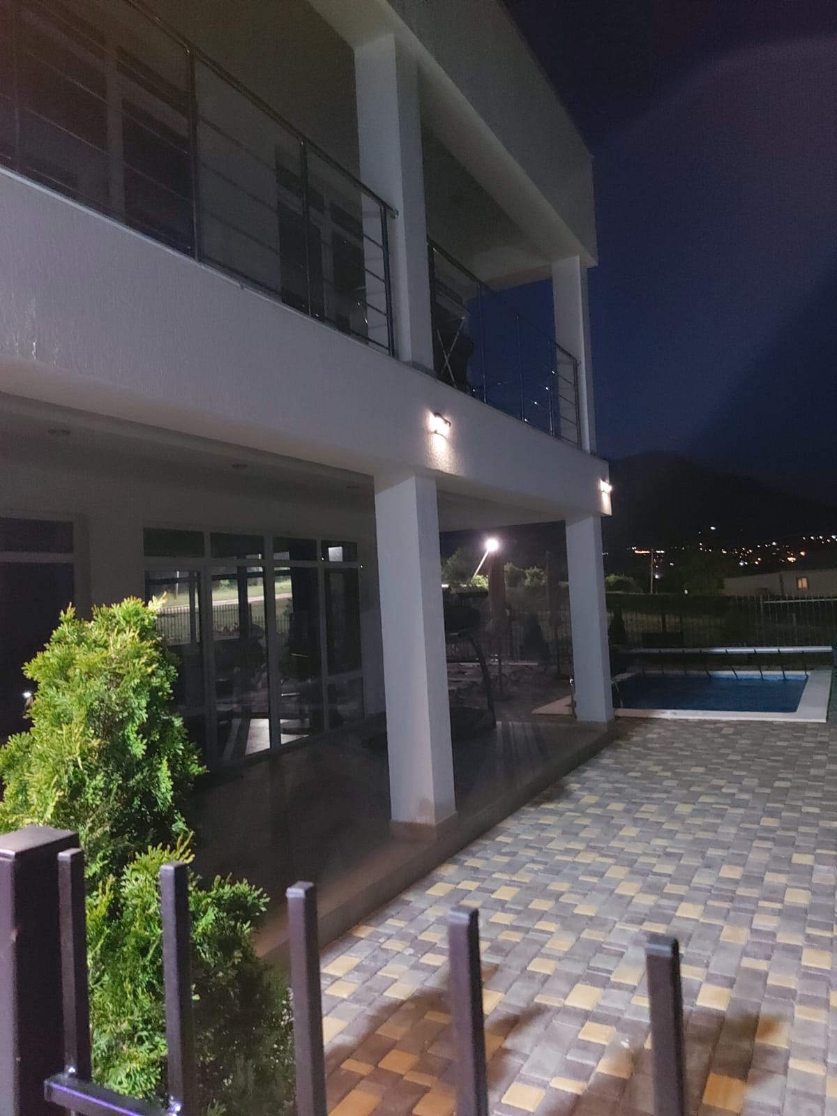 Фото Горная лаванда