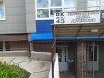 Sk auto (ulitsa Vasiliya Zhukovskogo, 6), auto parts and auto goods store