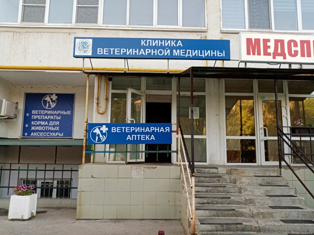 عيادة بيطرية Veterinary Medicine Clinic ، سامارا، صورة