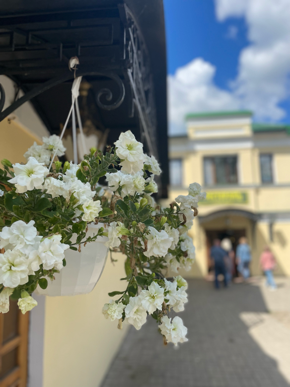 Фото Усадьба Плешанова