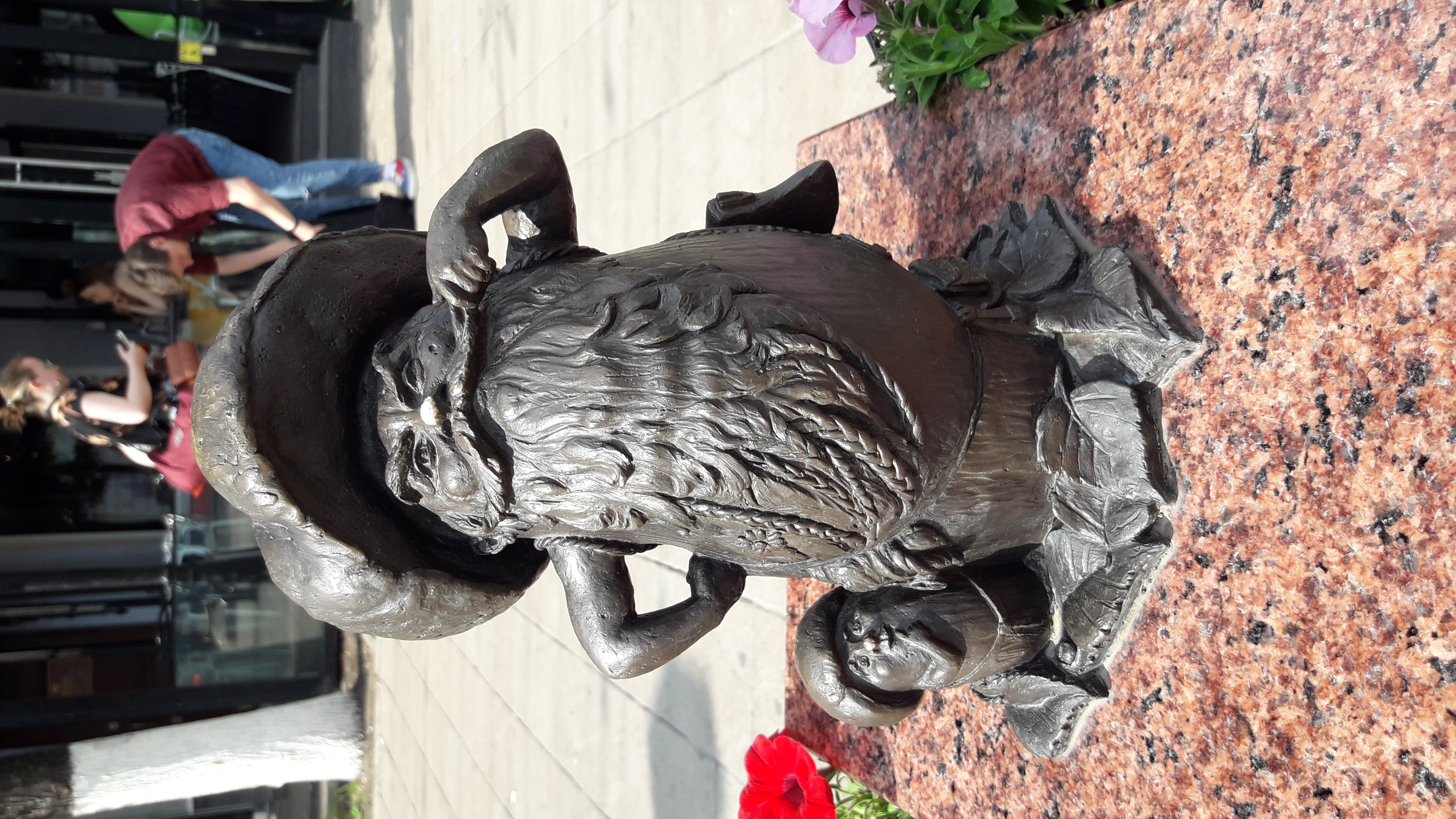 Фото Гостиница Рязань