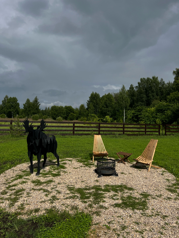 Фото Лес и небо