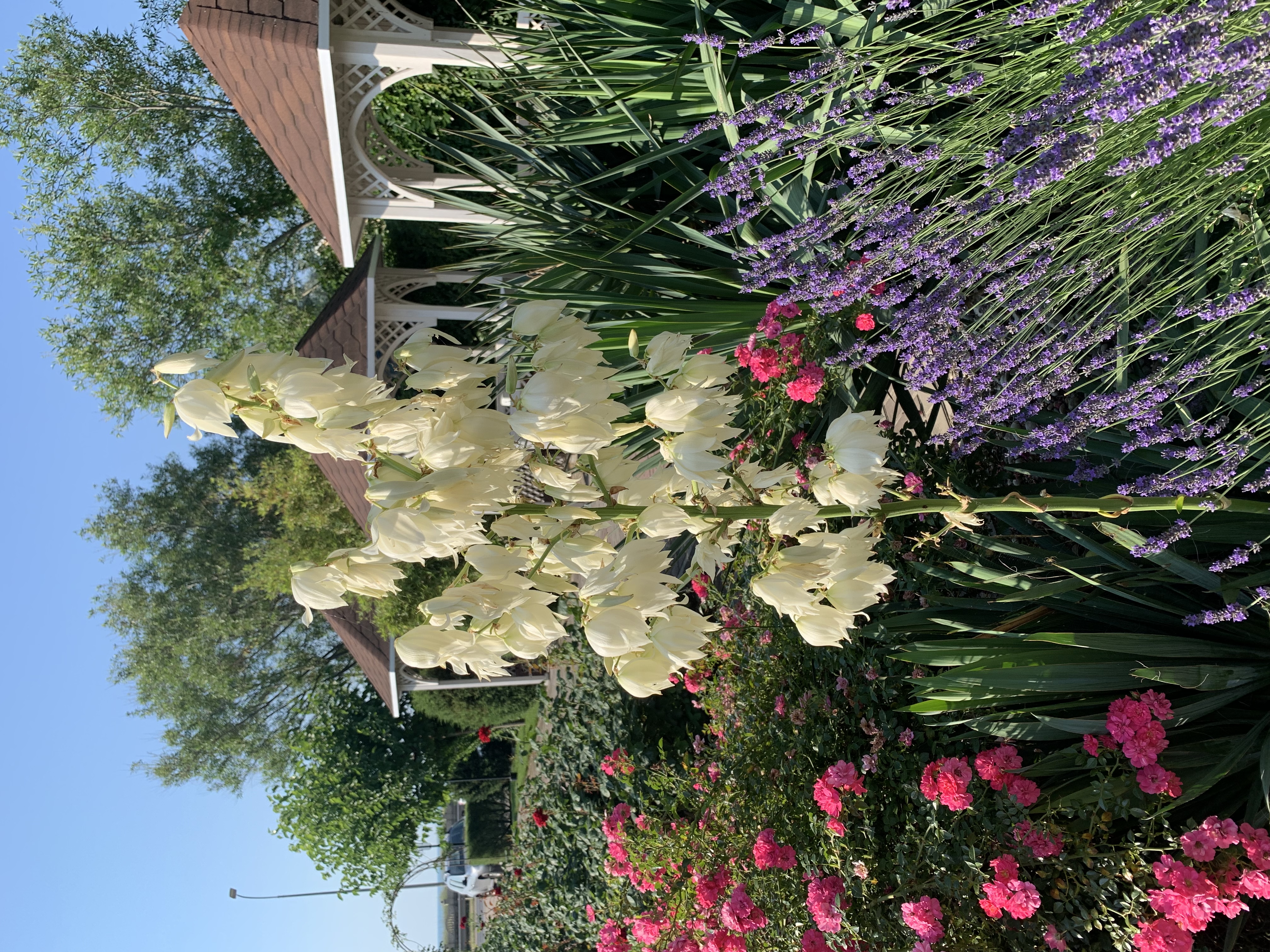 Фото Ай-Петри