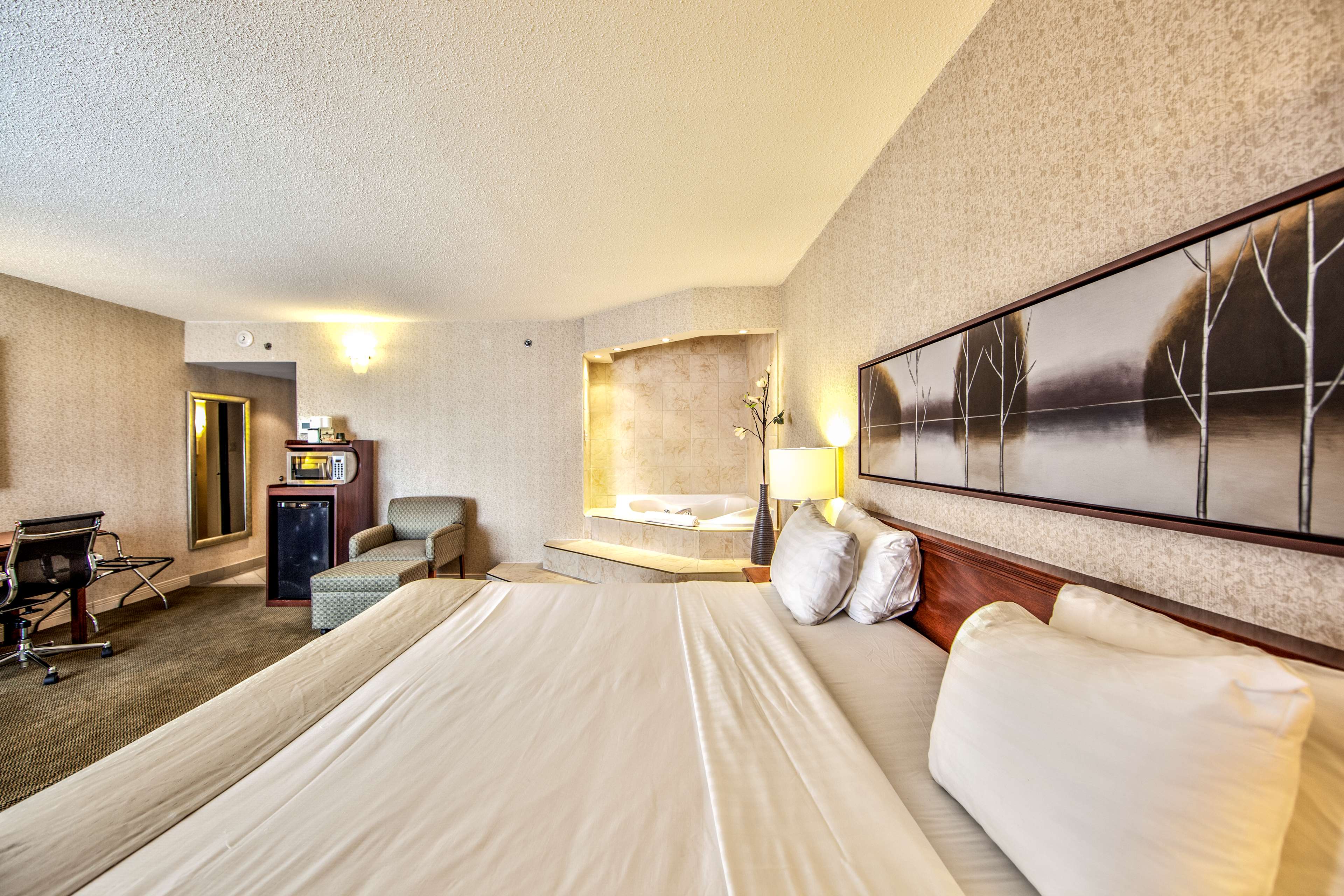 Фото Radisson Hotel Montreal Airport