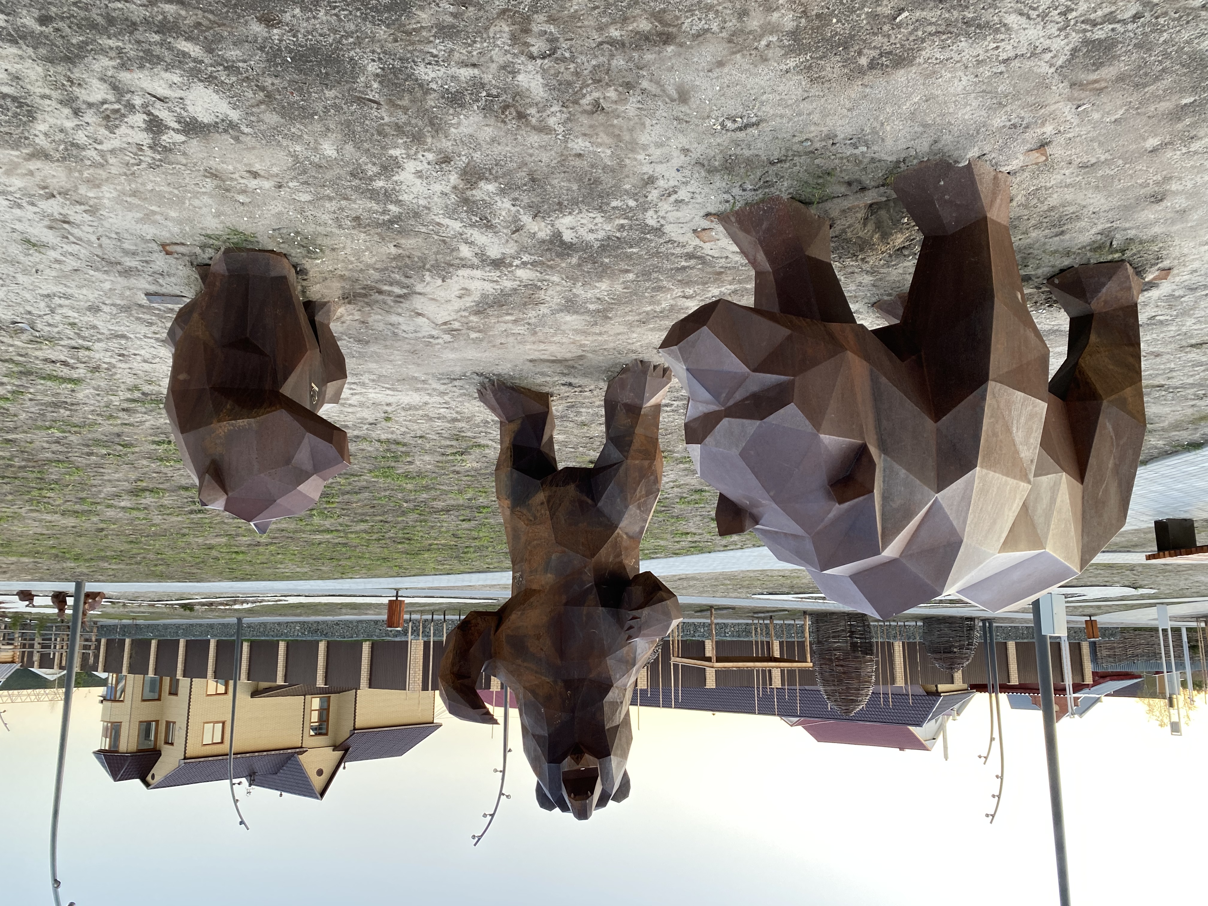 Фото Карибу