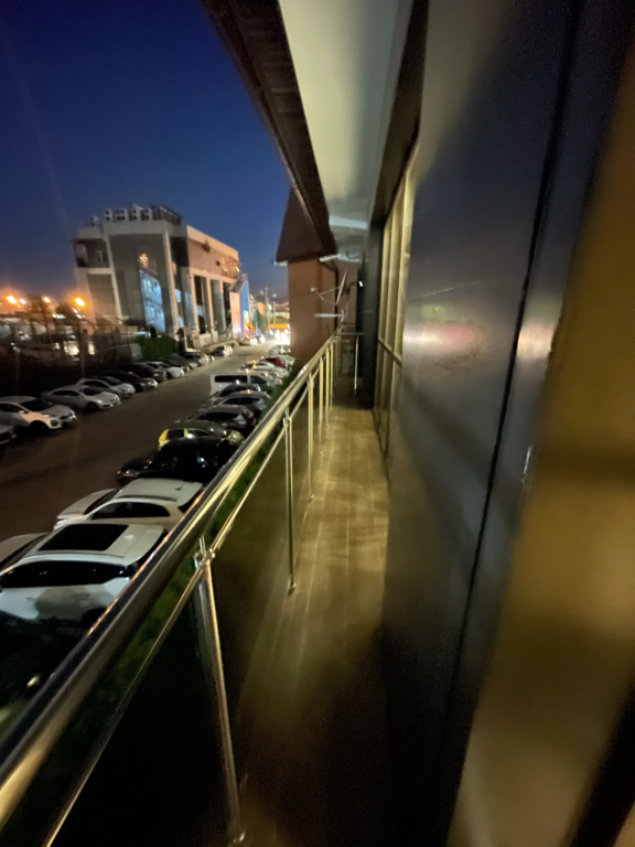 Фото Пеликан